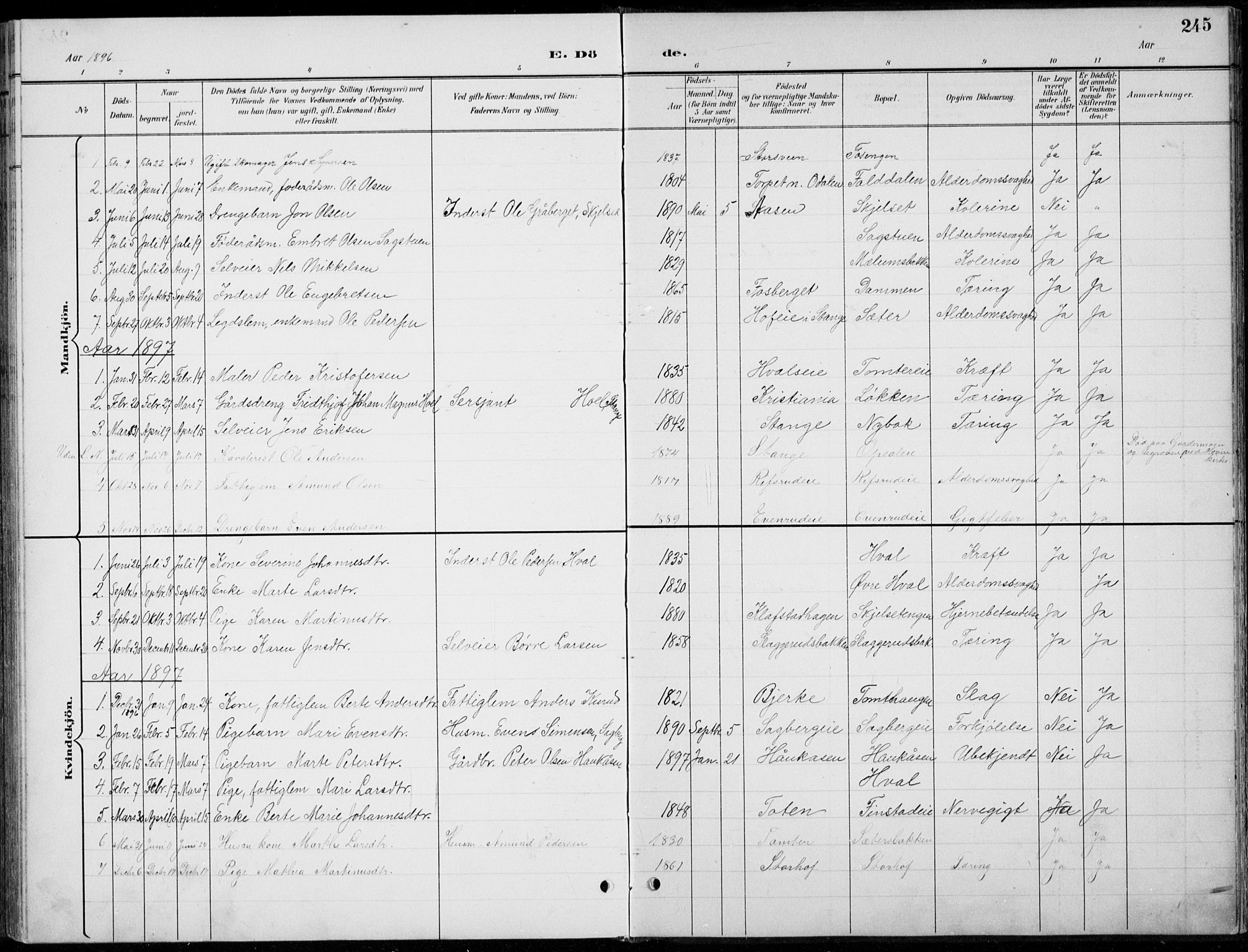 Romedal prestekontor, AV/SAH-PREST-004/L/L0013: Parish register (copy) no. 13, 1896-1937, p. 245