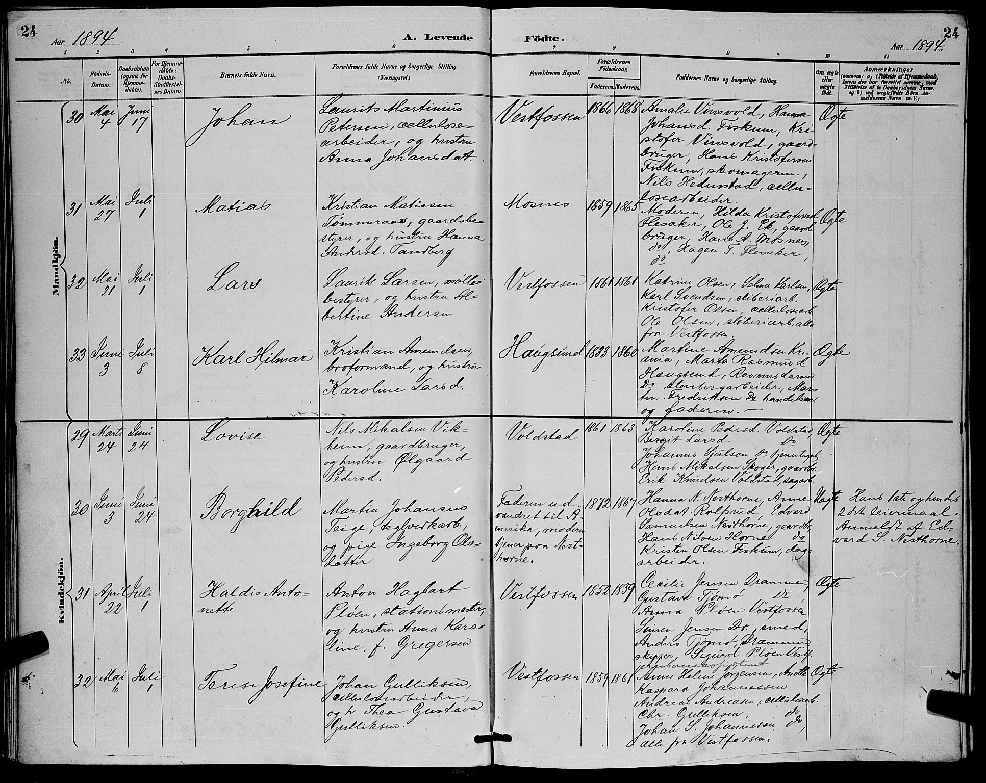 Eiker kirkebøker, AV/SAKO-A-4/G/Ga/L0007: Parish register (copy) no. I 7, 1893-1902, p. 24