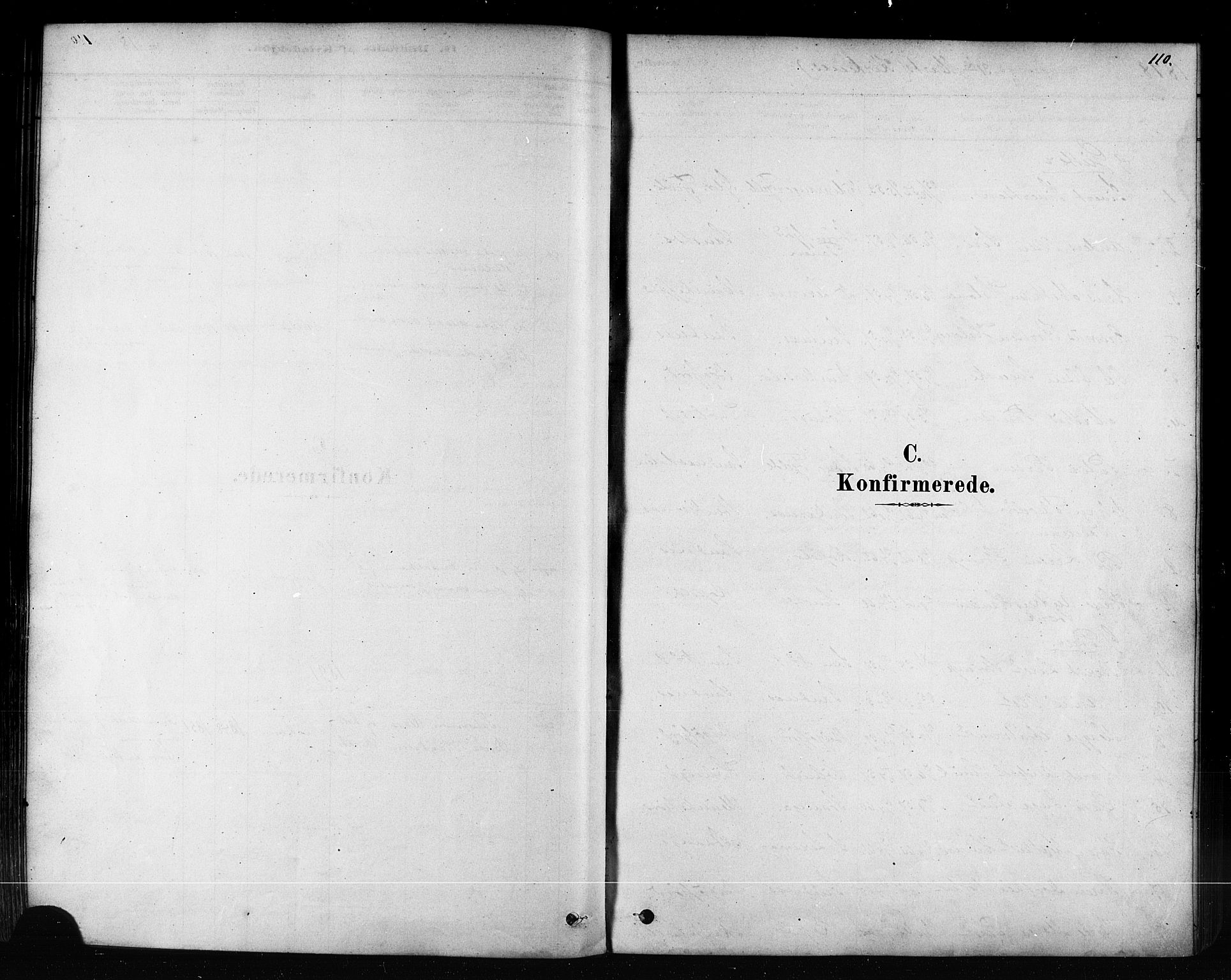 Sør-Varanger sokneprestkontor, AV/SATØ-S-1331/H/Ha/L0003kirke: Parish register (official) no. 3, 1878-1891, p. 110