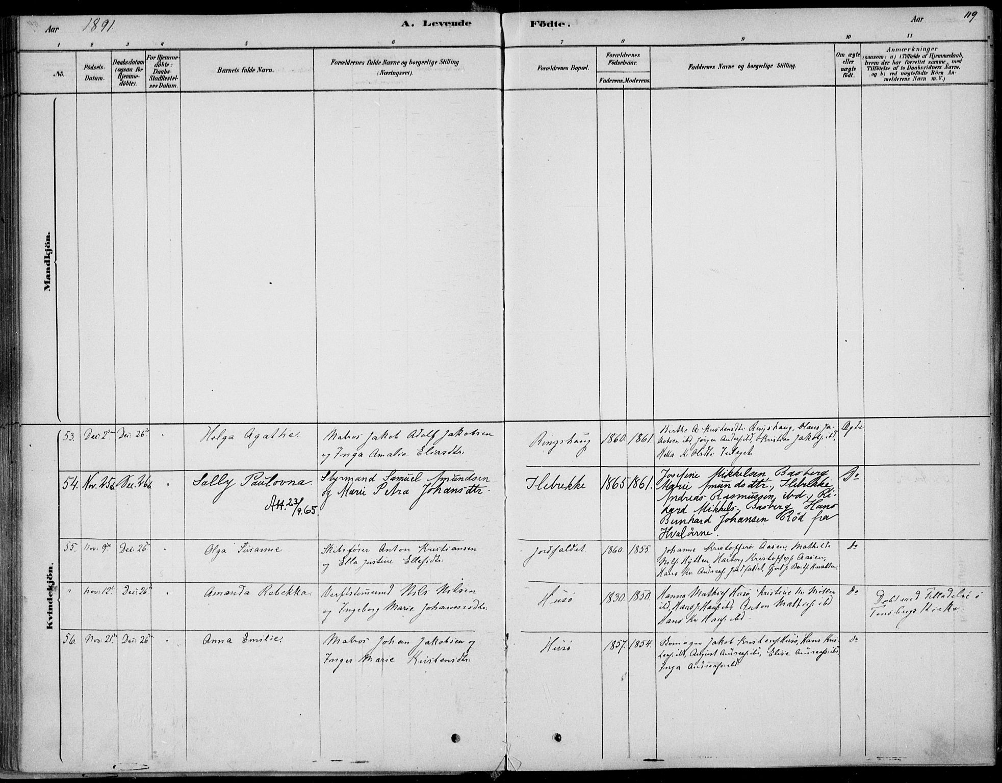 Sem kirkebøker, SAKO/A-5/F/Fb/L0004: Parish register (official) no. II 4, 1878-1891, p. 119