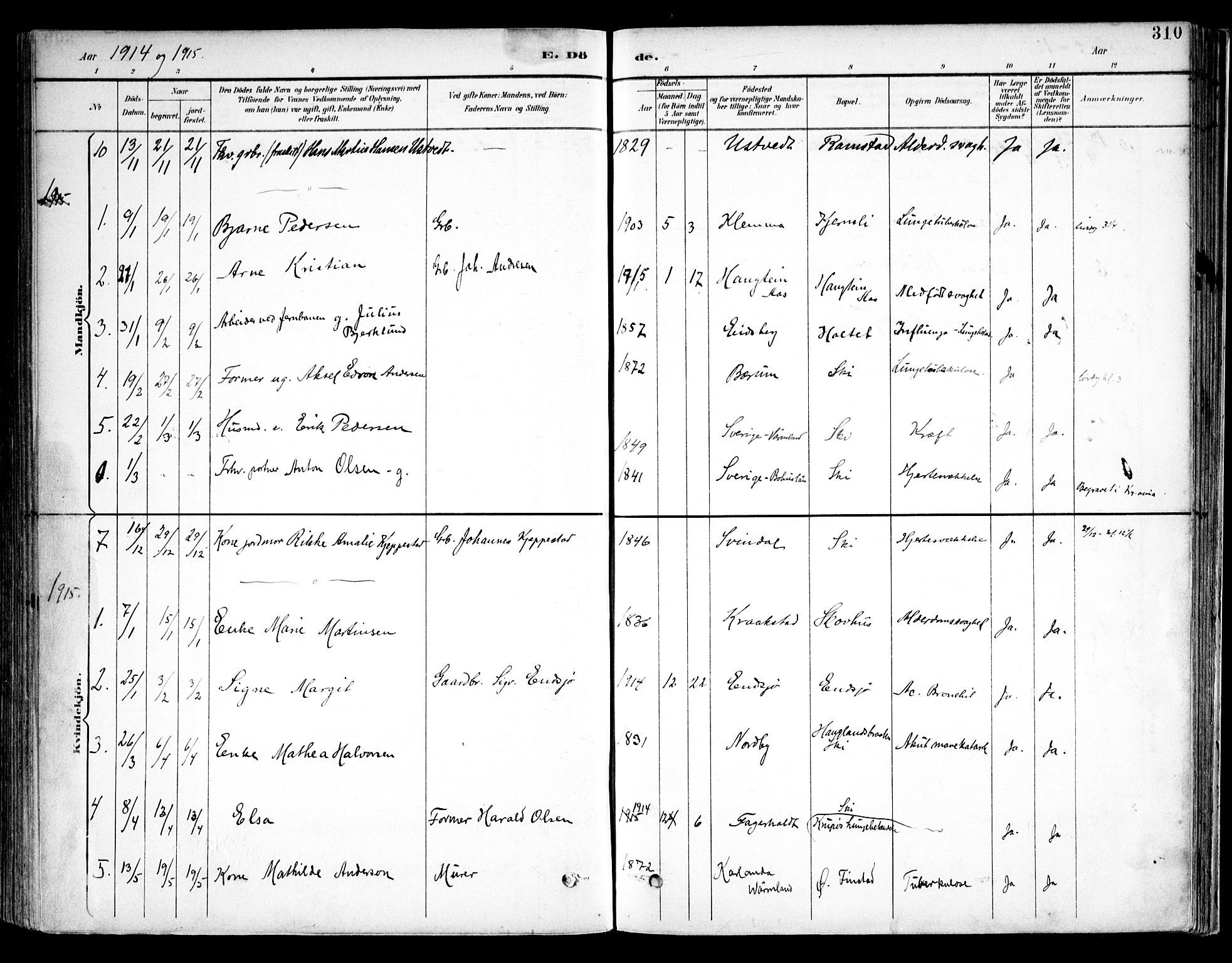 Kråkstad prestekontor Kirkebøker, SAO/A-10125a/F/Fb/L0002: Parish register (official) no. II 2, 1893-1917, p. 310
