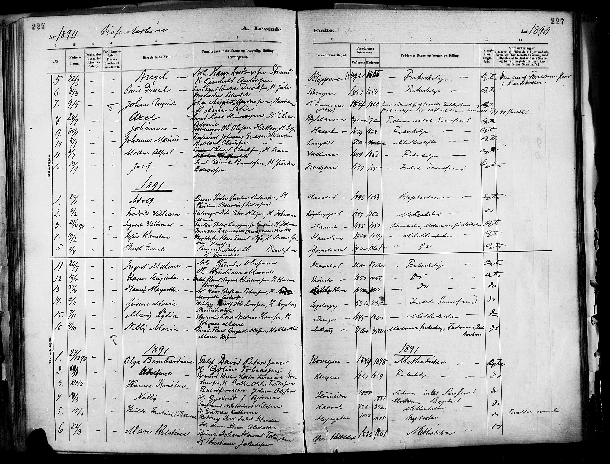 Barbu sokneprestkontor, SAK/1111-0003/F/Fa/L0002: Parish register (official) no. A 2, 1883-1898, p. 227