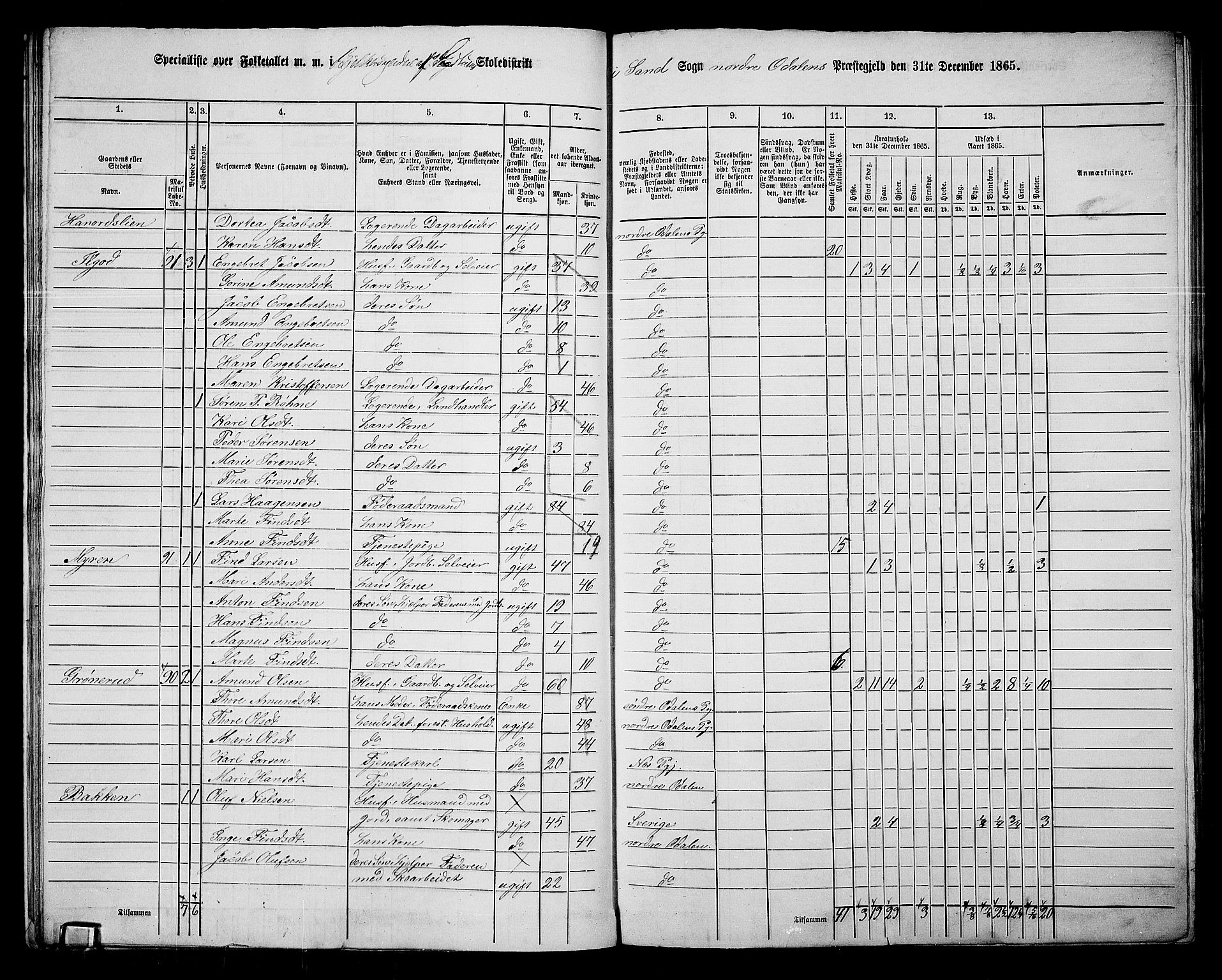 RA, 1865 census for Nord-Odal, 1865, p. 20