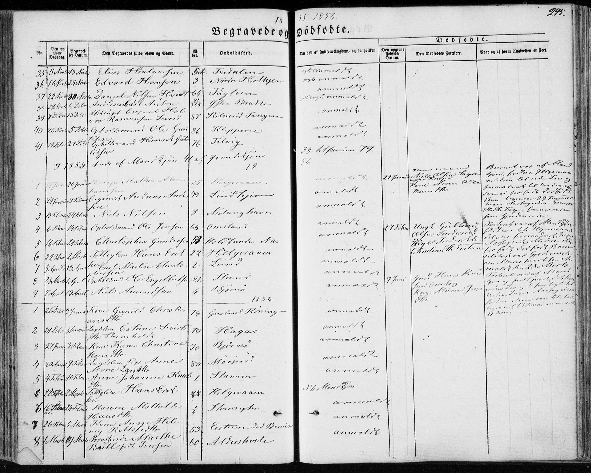 Brunlanes kirkebøker, AV/SAKO-A-342/F/Fa/L0004: Parish register (official) no. I 4, 1846-1862, p. 295