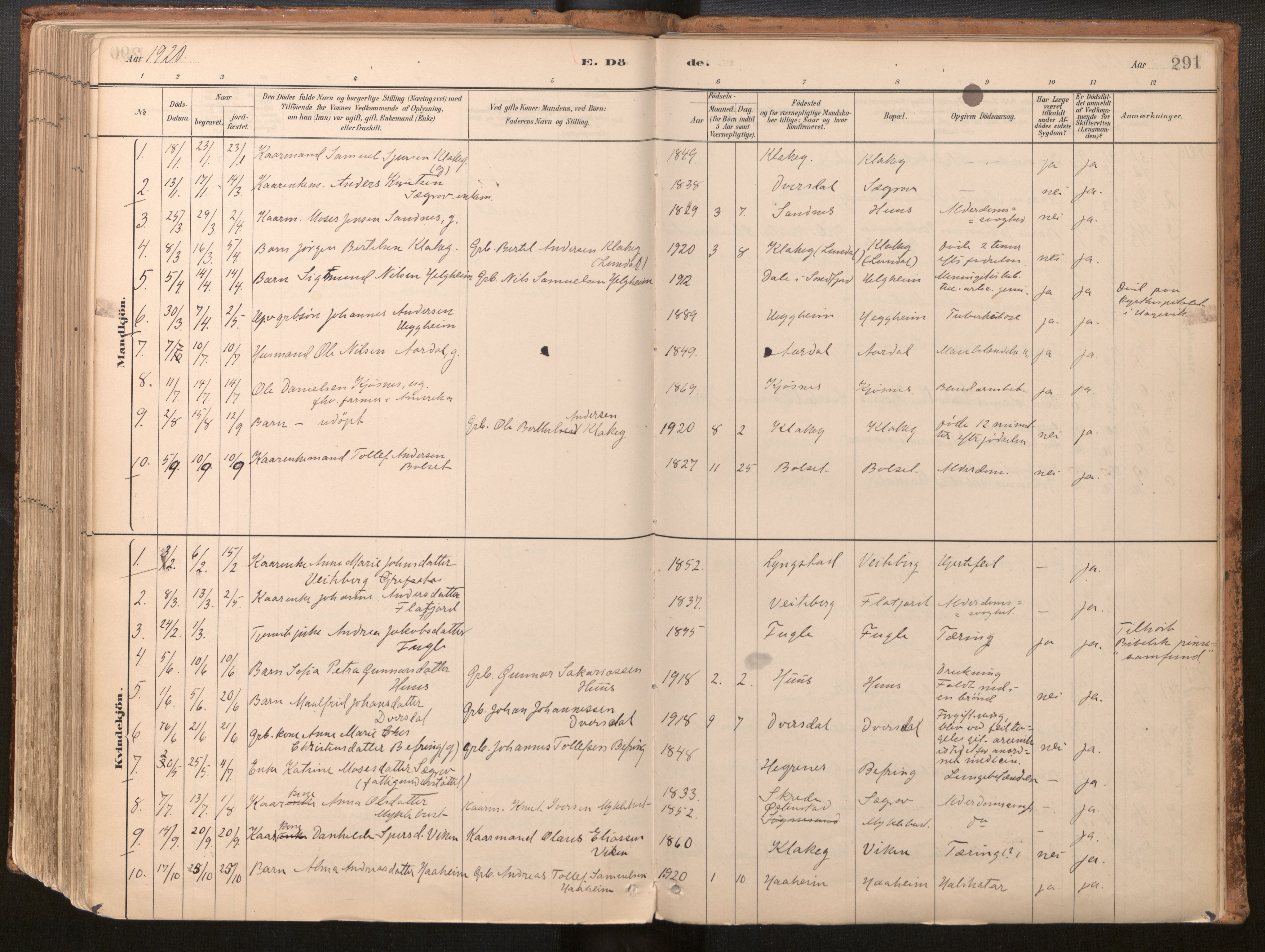 Jølster sokneprestembete, SAB/A-80701/H/Haa/Haac/L0001: Parish register (official) no. C 1, 1882-1928, p. 291