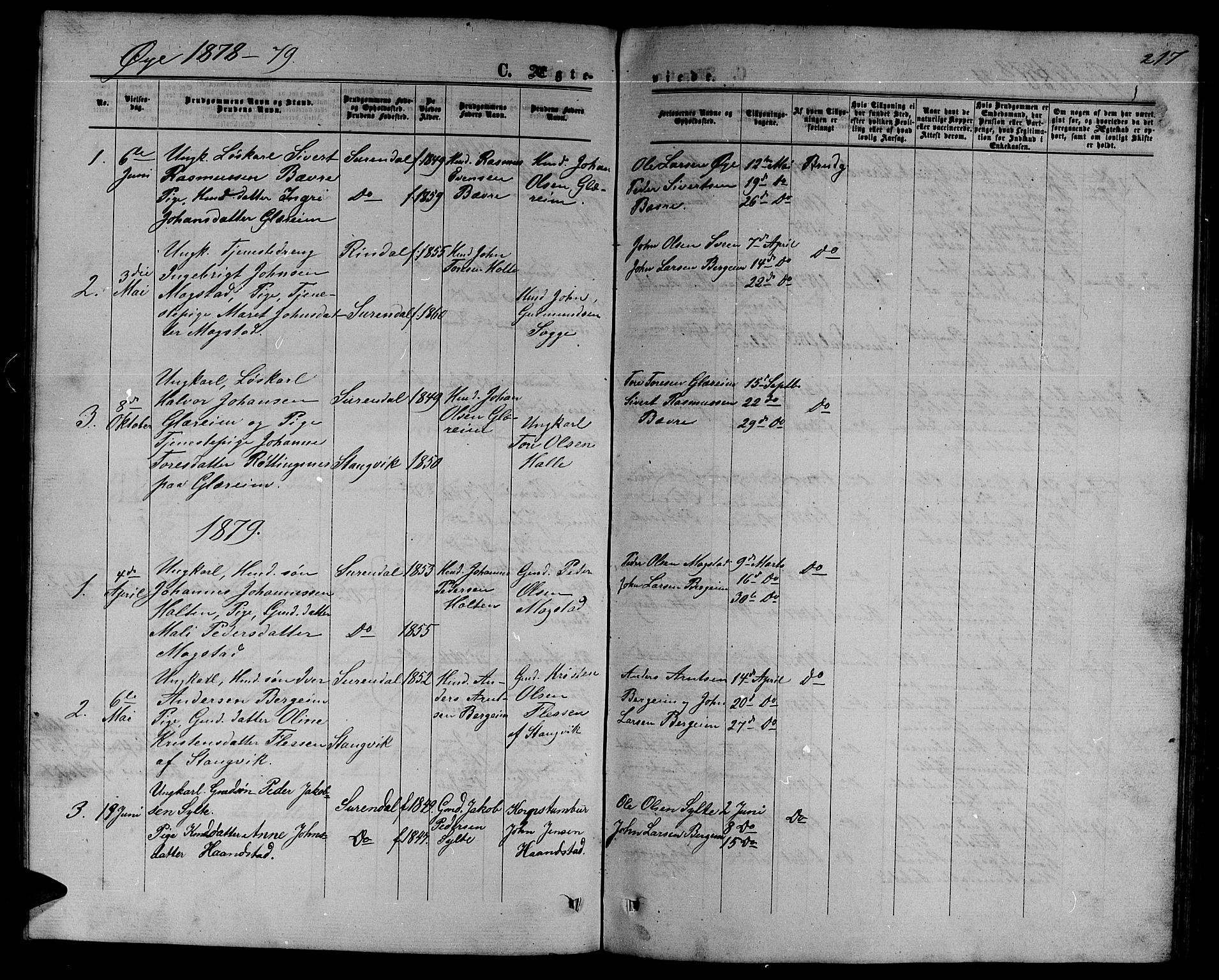 Ministerialprotokoller, klokkerbøker og fødselsregistre - Møre og Romsdal, AV/SAT-A-1454/595/L1051: Parish register (copy) no. 595C03, 1866-1891, p. 217