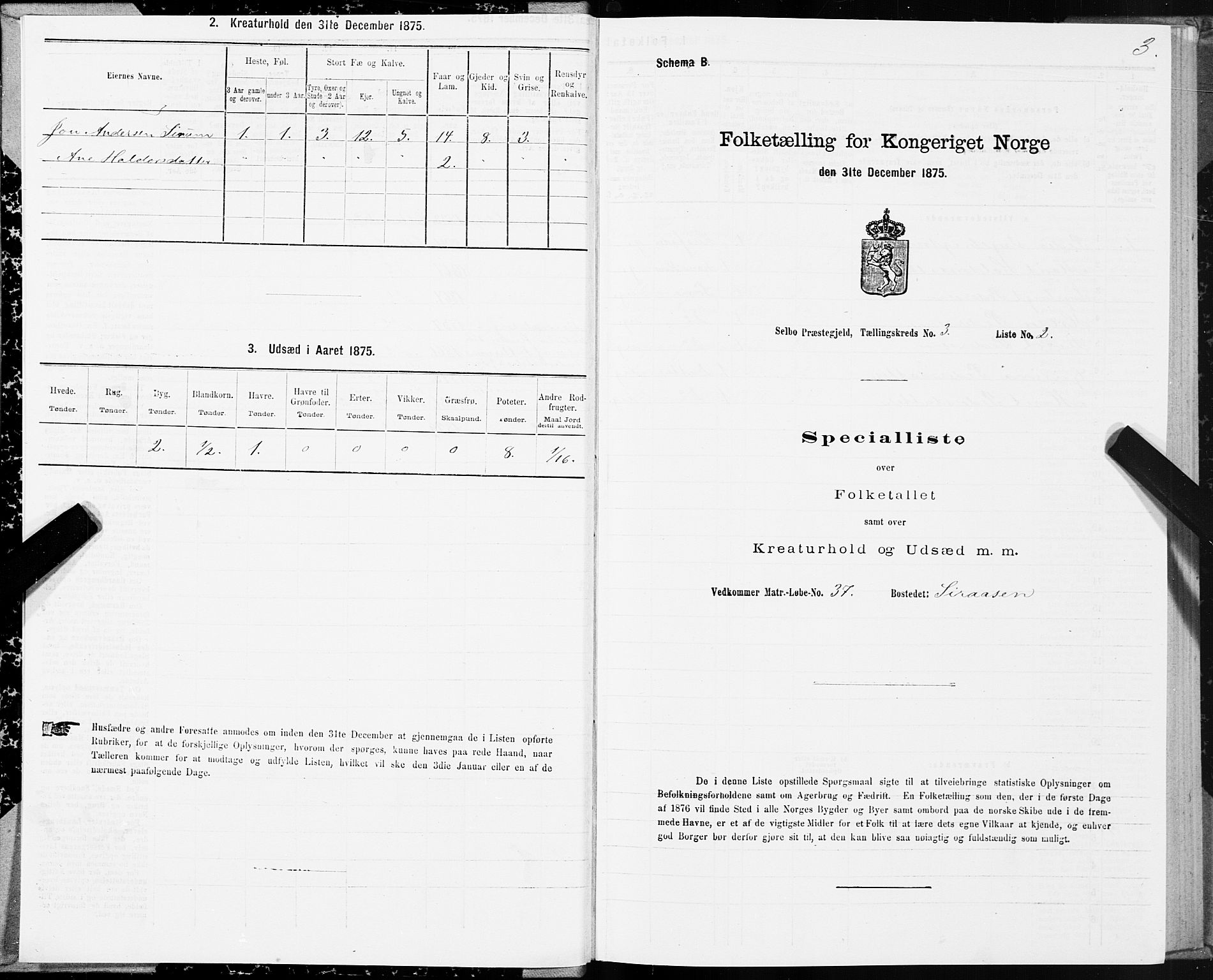 SAT, 1875 census for 1664P Selbu, 1875, p. 2003