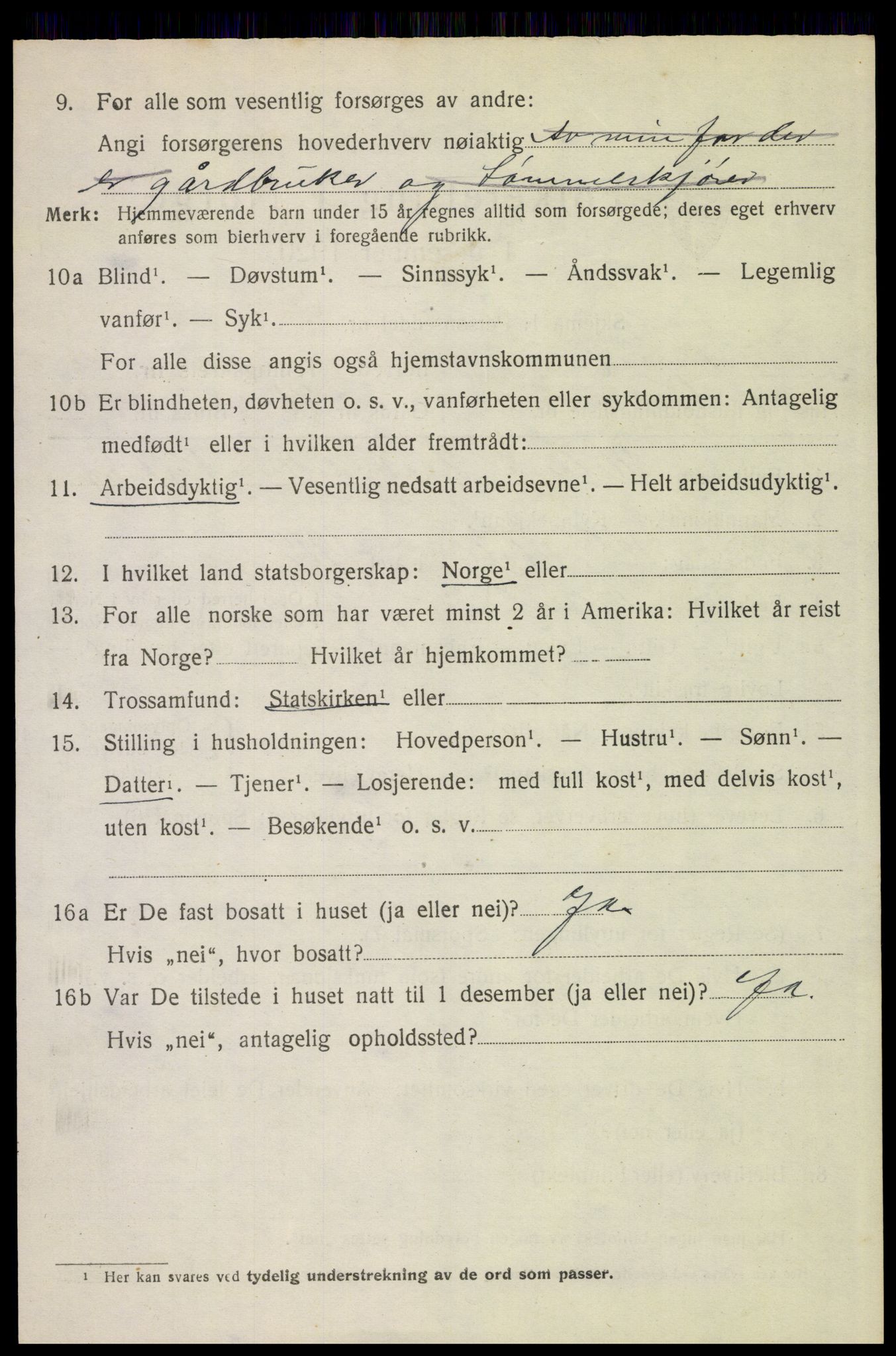 SAH, 1920 census for Trysil, 1920, p. 15984