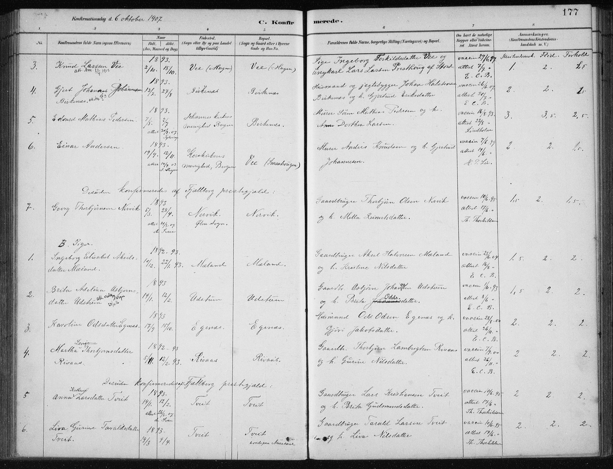 Etne sokneprestembete, AV/SAB-A-75001/H/Haa: Parish register (official) no. C  1, 1879-1919, p. 177