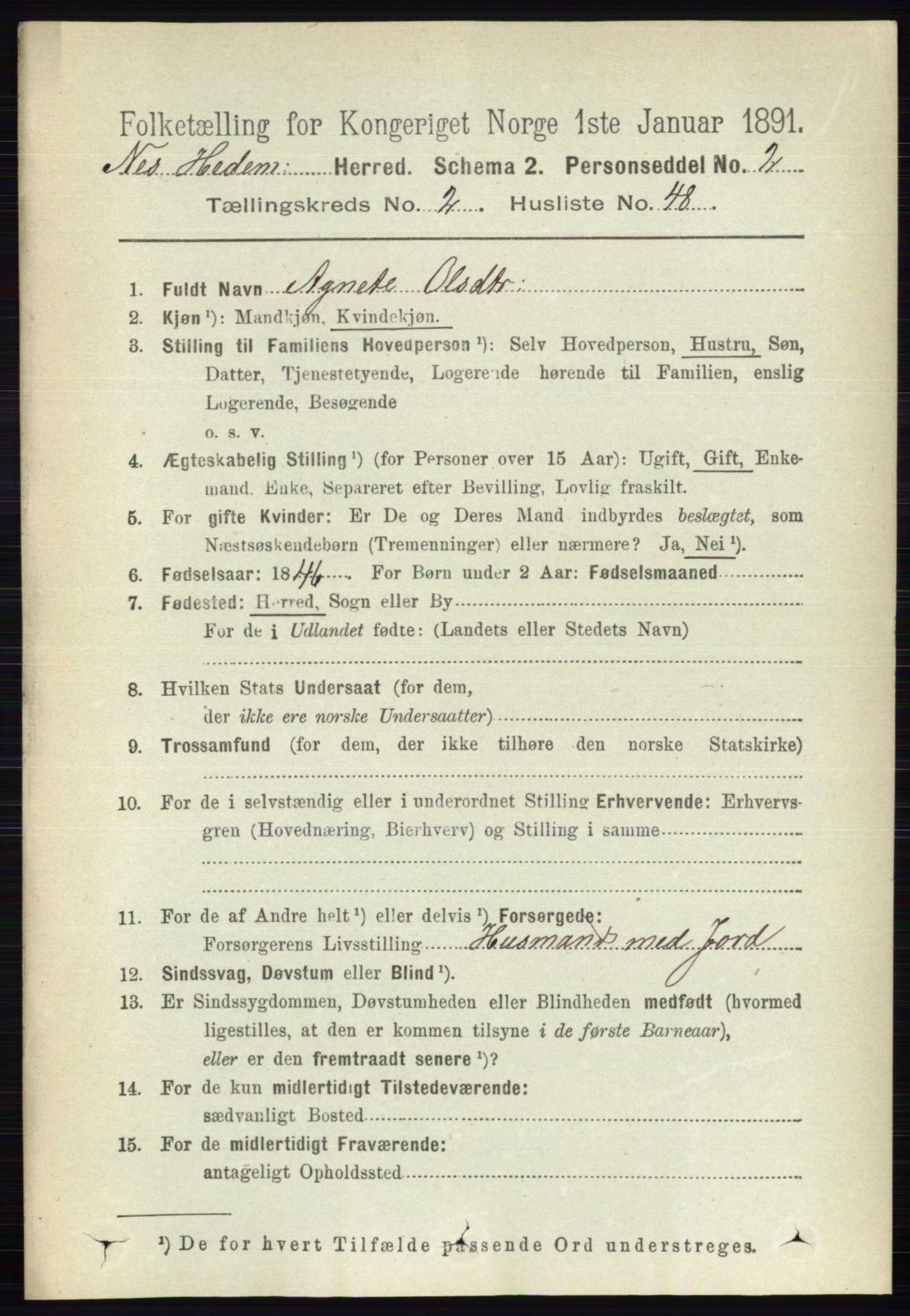RA, 1891 census for 0411 Nes, 1891, p. 1413