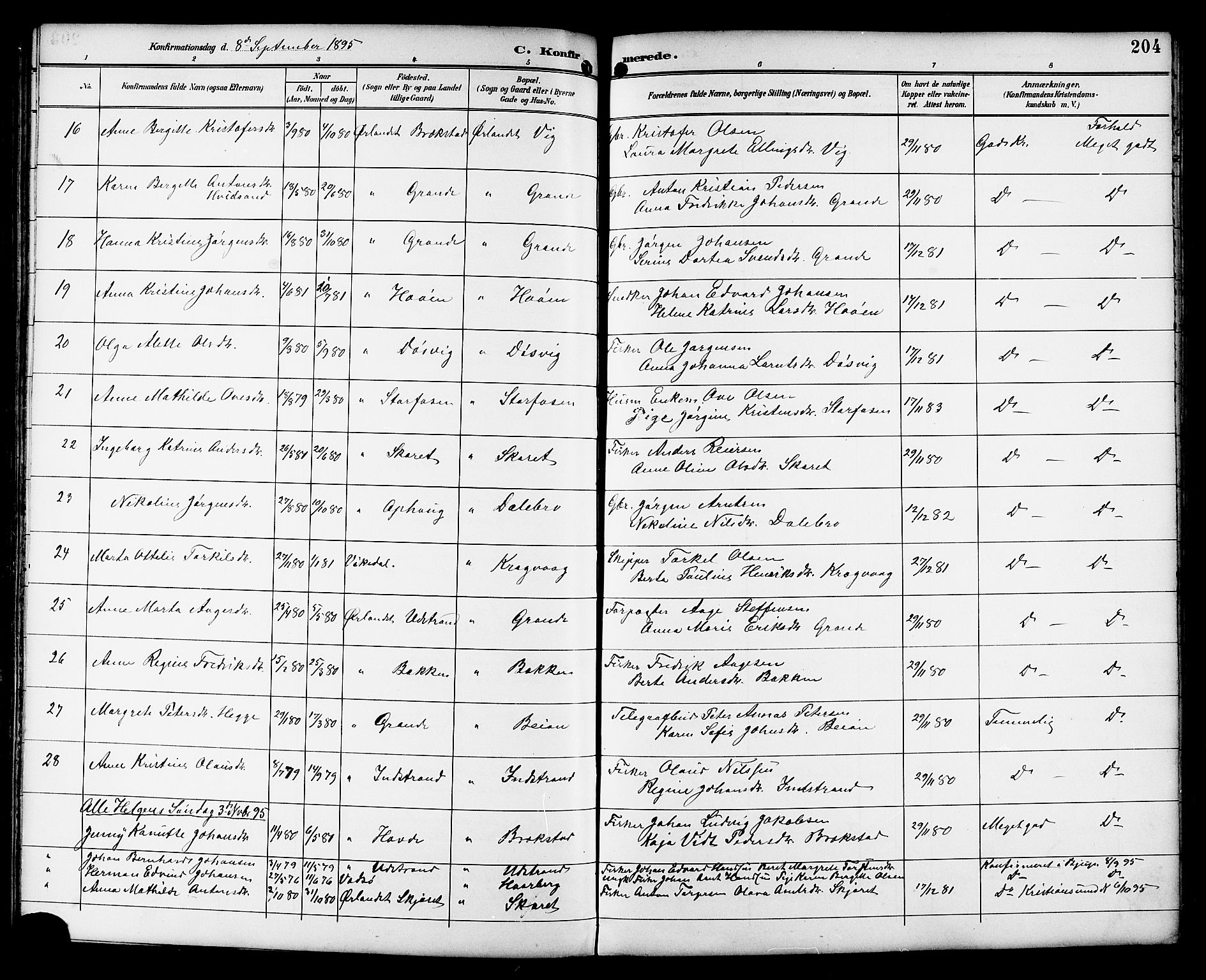 Ministerialprotokoller, klokkerbøker og fødselsregistre - Sør-Trøndelag, SAT/A-1456/659/L0746: Parish register (copy) no. 659C03, 1893-1912, p. 204