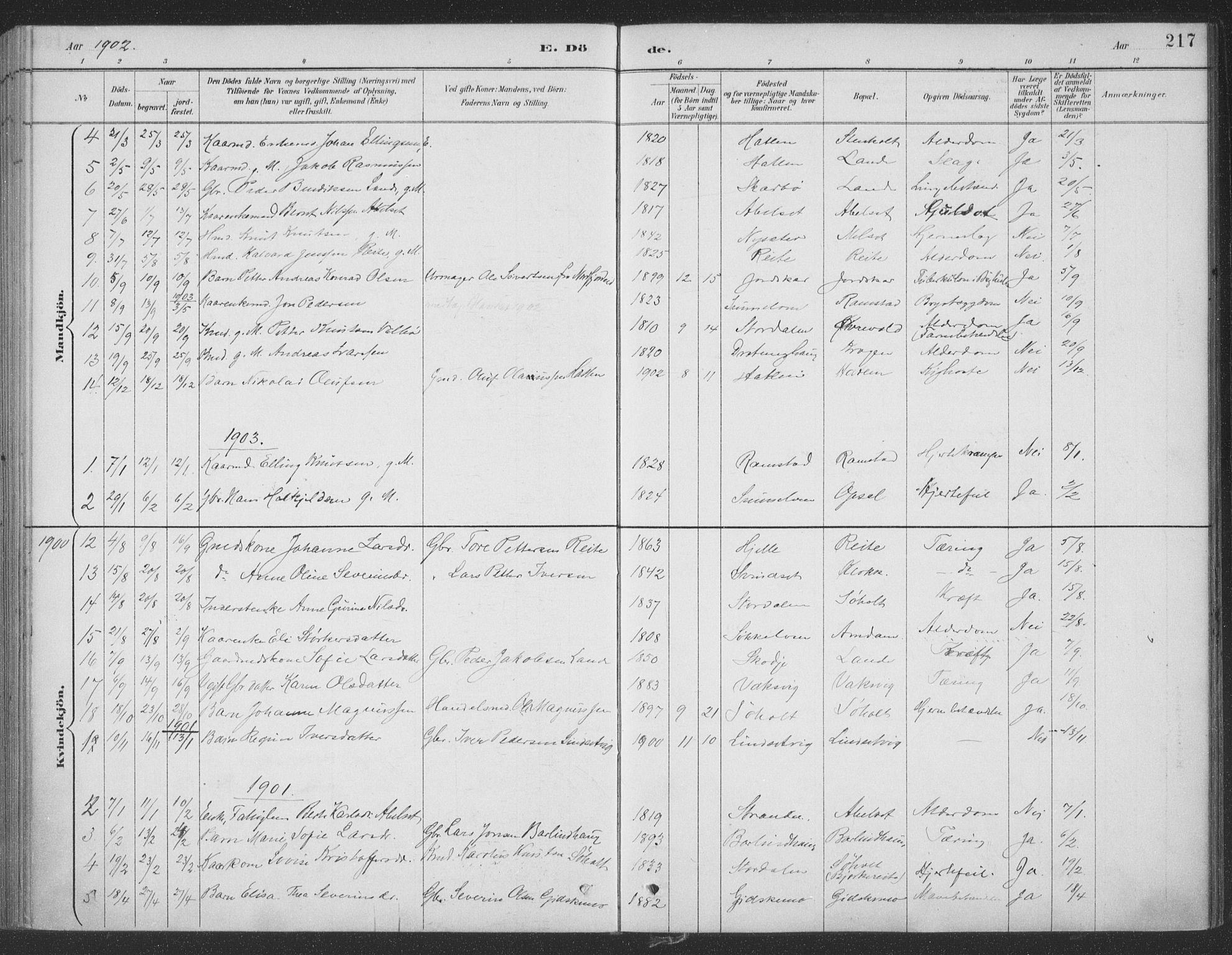 Ministerialprotokoller, klokkerbøker og fødselsregistre - Møre og Romsdal, AV/SAT-A-1454/522/L0316: Parish register (official) no. 522A11, 1890-1911, p. 217