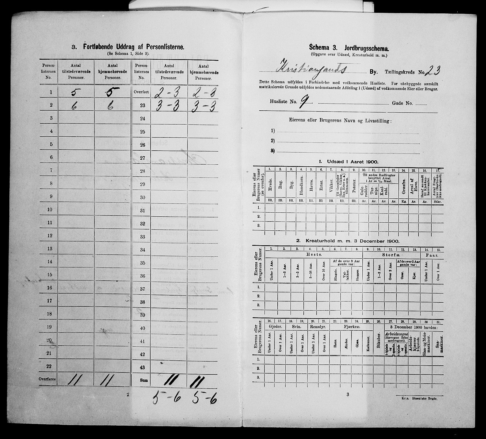 SAK, 1900 census for Kristiansand, 1900, p. 8596