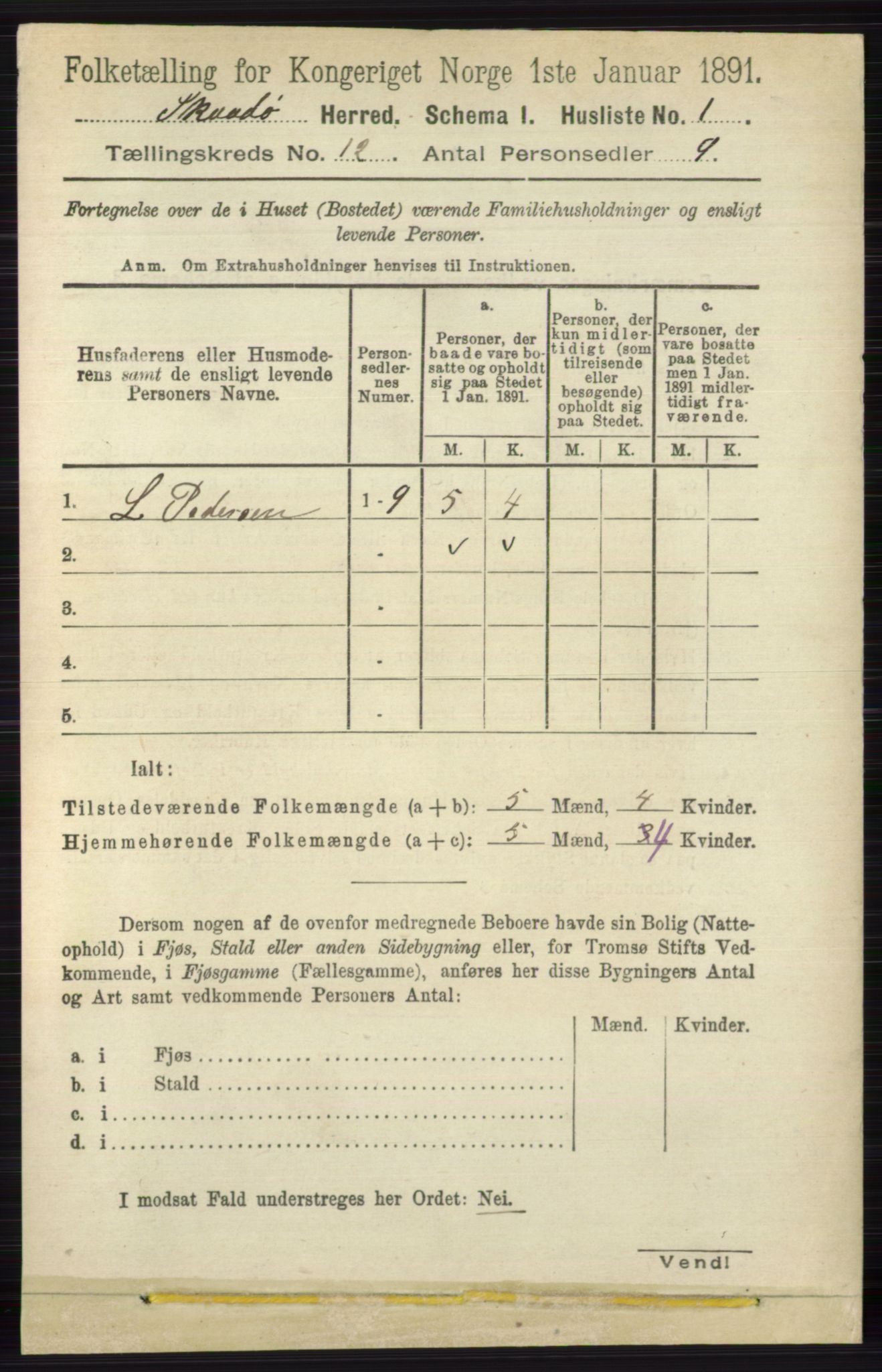 RA, 1891 census for 0815 Skåtøy, 1891, p. 4274