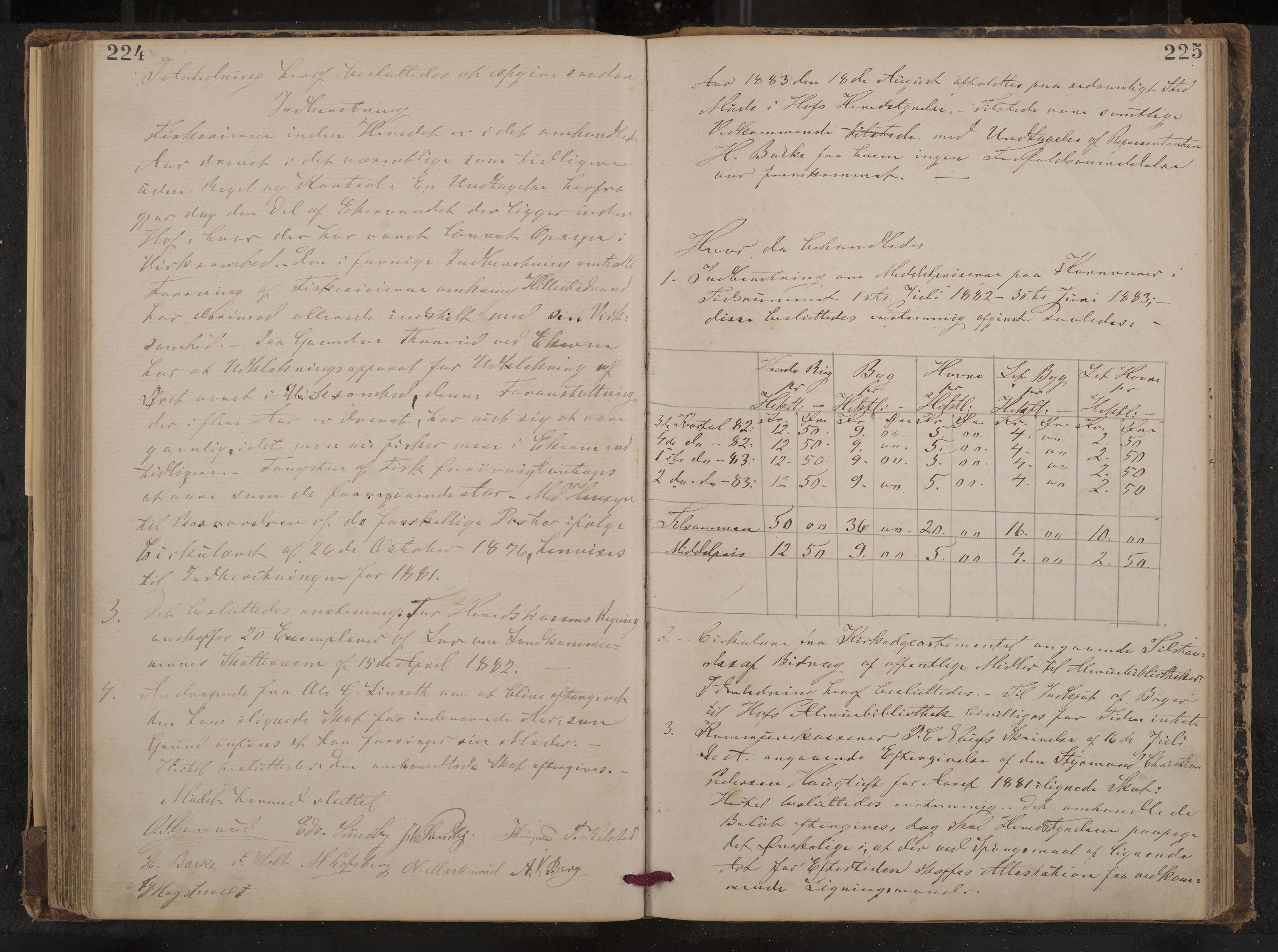 Hof formannskap og sentraladministrasjon, IKAK/0714021-1/A/Aa/L0003: Møtebok med register, 1874-1888, p. 224-225