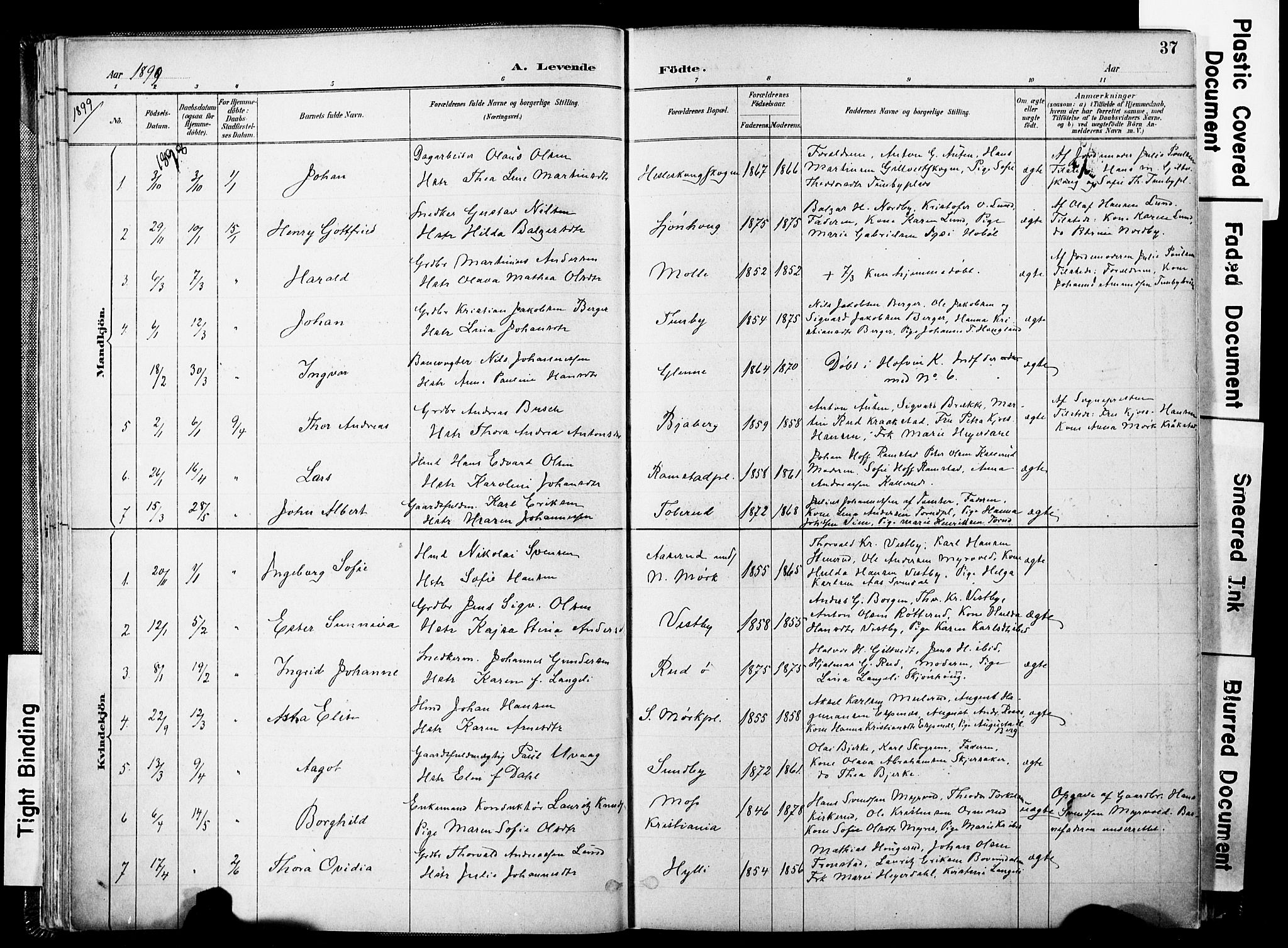 Spydeberg prestekontor Kirkebøker, SAO/A-10924/F/Fa/L0008: Parish register (official) no. I 8, 1886-1900, p. 37