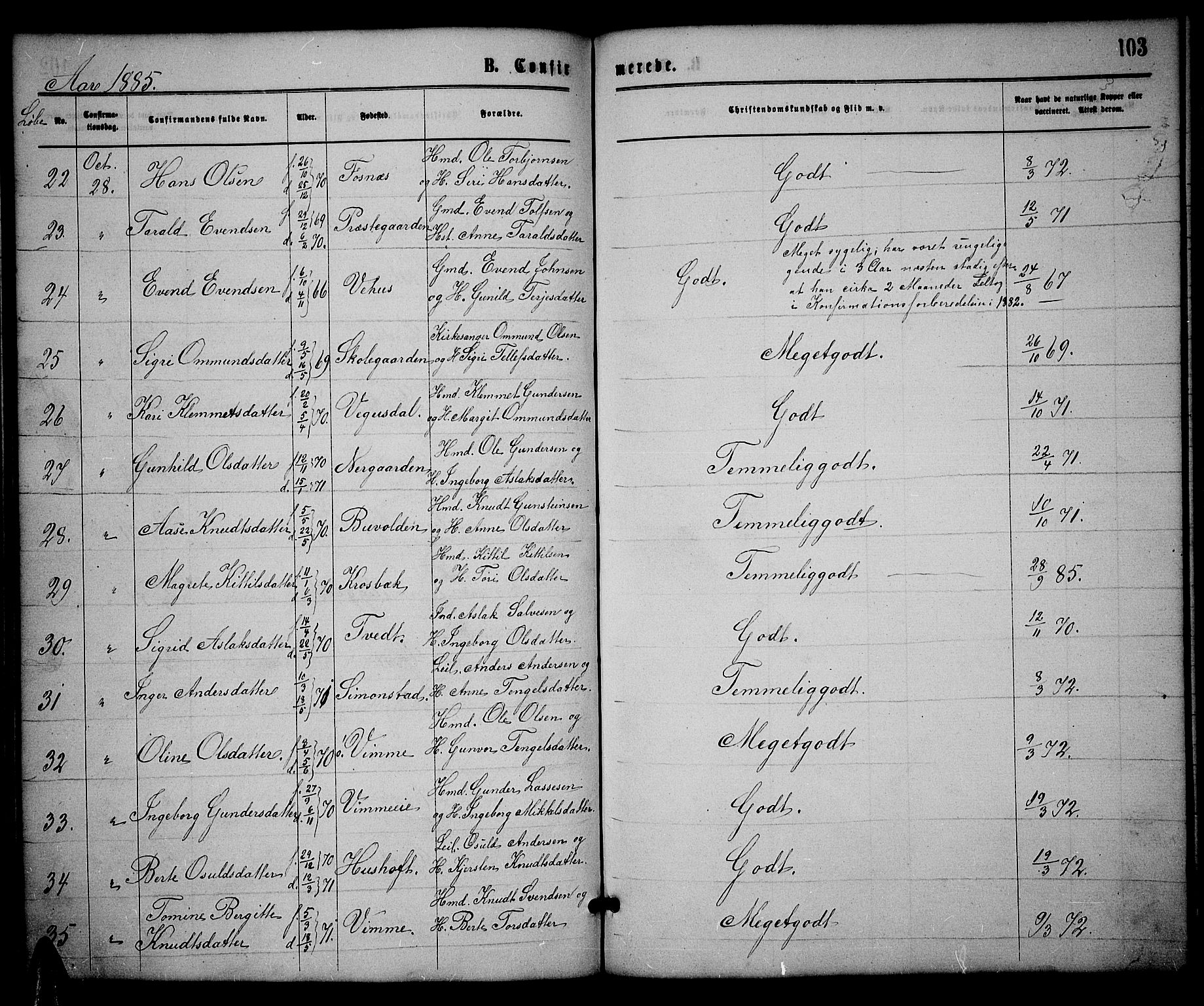 Åmli sokneprestkontor, SAK/1111-0050/F/Fb/Fbc/L0003: Parish register (copy) no. B 3, 1868-1888, p. 103