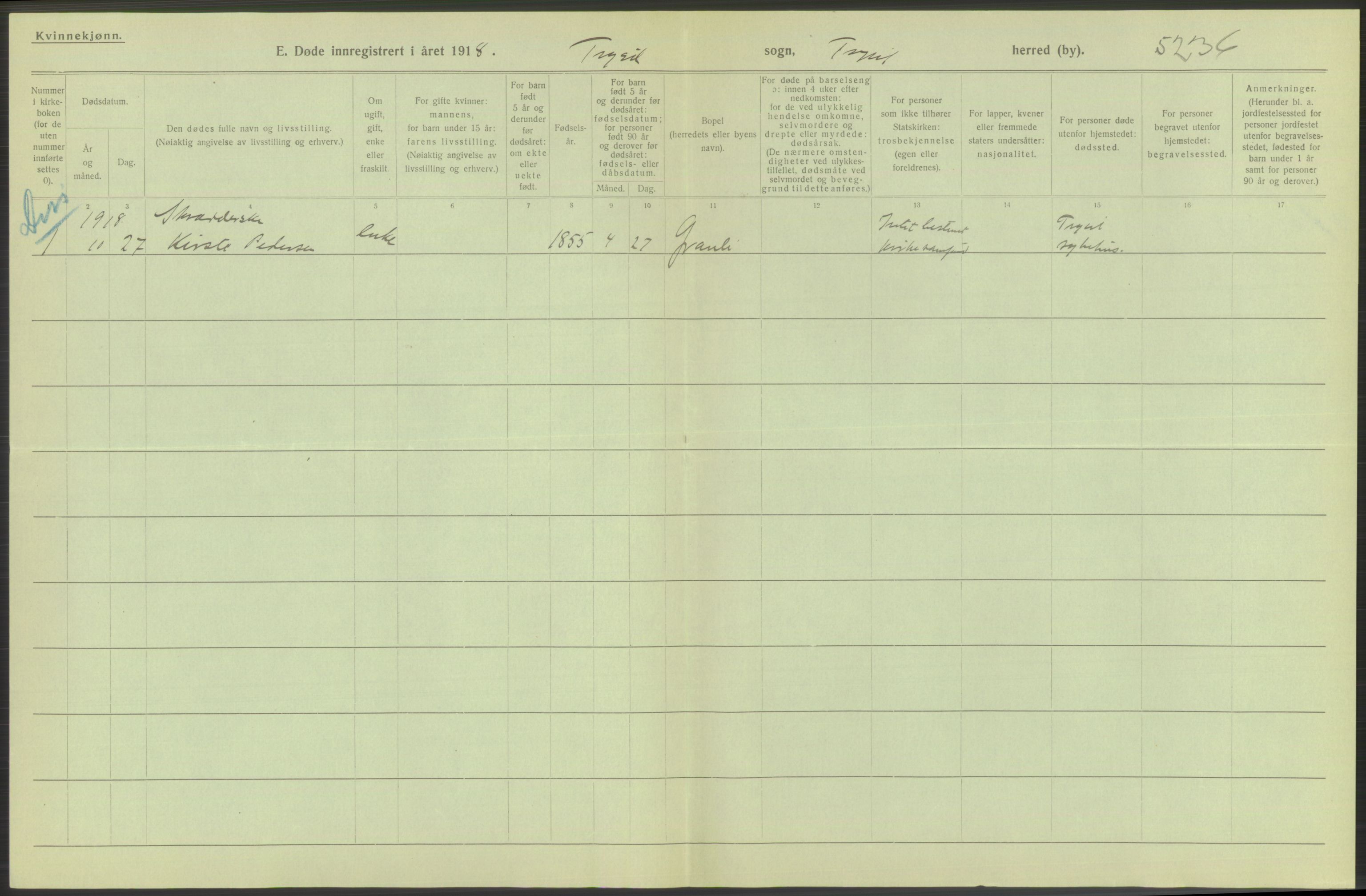 Statistisk sentralbyrå, Sosiodemografiske emner, Befolkning, AV/RA-S-2228/D/Df/Dfb/Dfbh/L0014: Hedemarkens fylke: Døde. Bygder og byer., 1918, p. 122