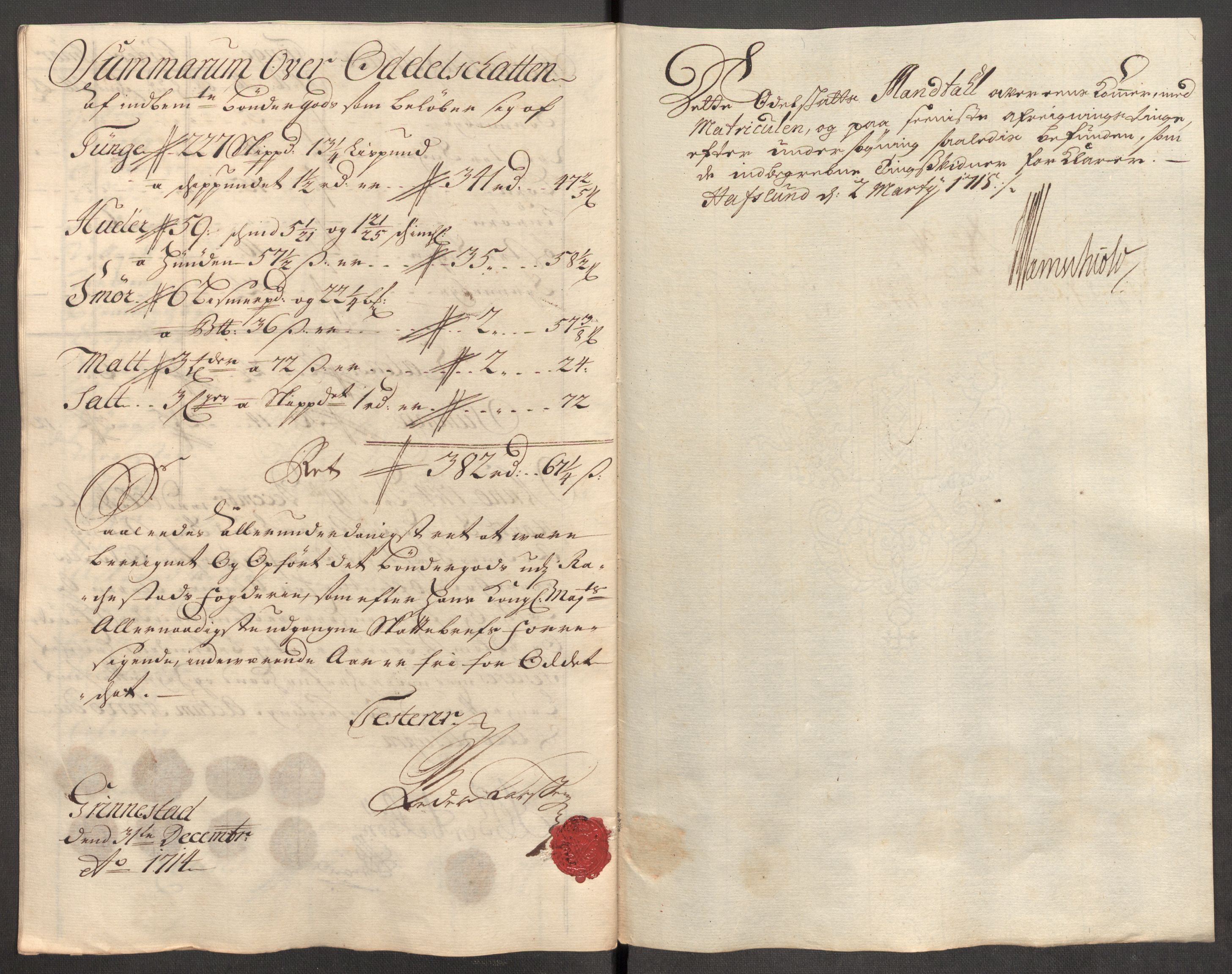 Rentekammeret inntil 1814, Reviderte regnskaper, Fogderegnskap, AV/RA-EA-4092/R07/L0308: Fogderegnskap Rakkestad, Heggen og Frøland, 1714, p. 483