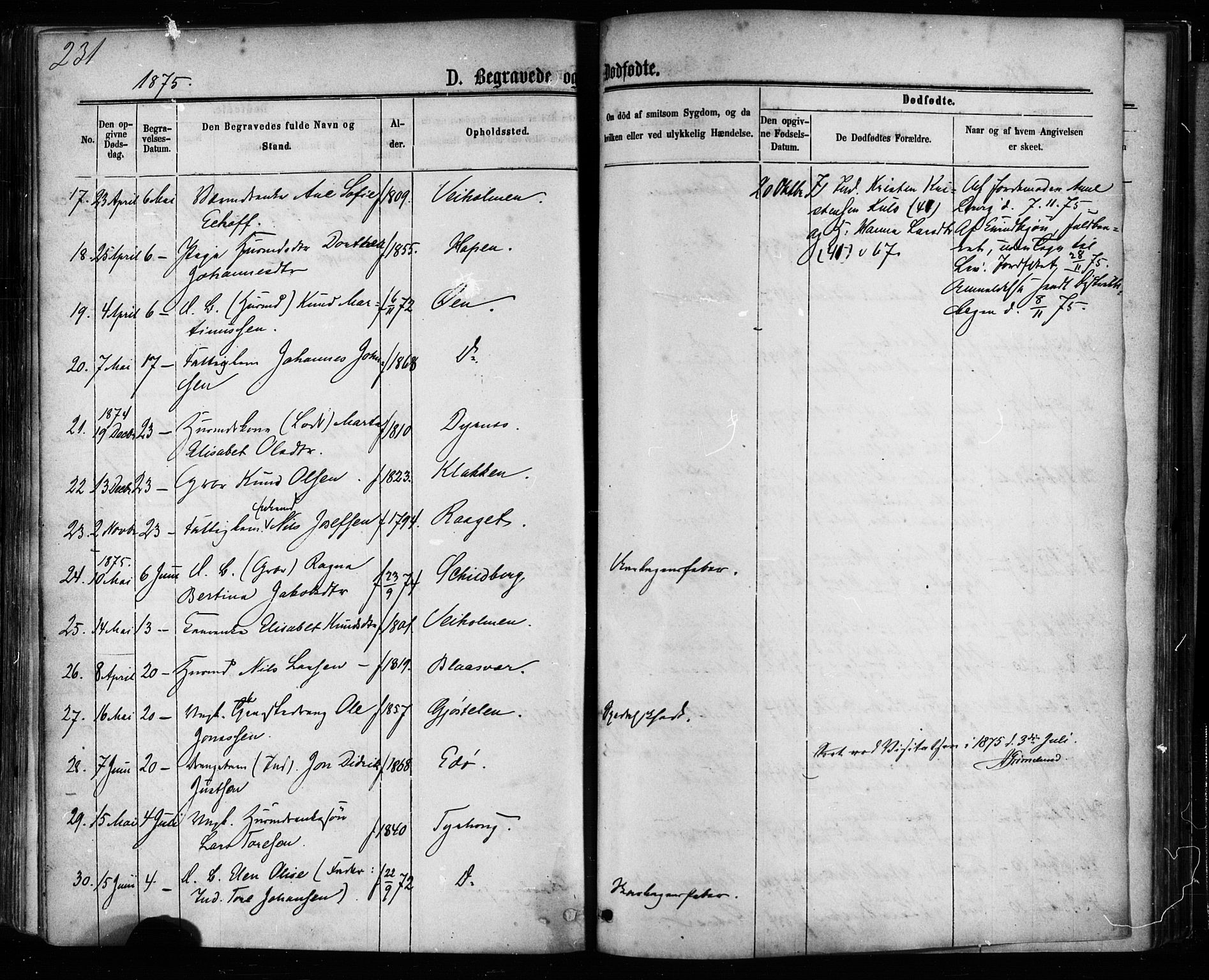 Ministerialprotokoller, klokkerbøker og fødselsregistre - Møre og Romsdal, AV/SAT-A-1454/581/L0938: Parish register (official) no. 581A06, 1873-1879, p. 231