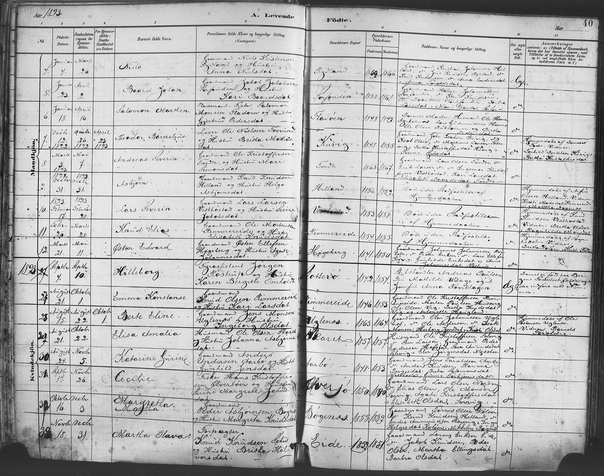 Fitjar sokneprestembete, AV/SAB-A-99926: Parish register (official) no. A 2, 1882-1899, p. 40