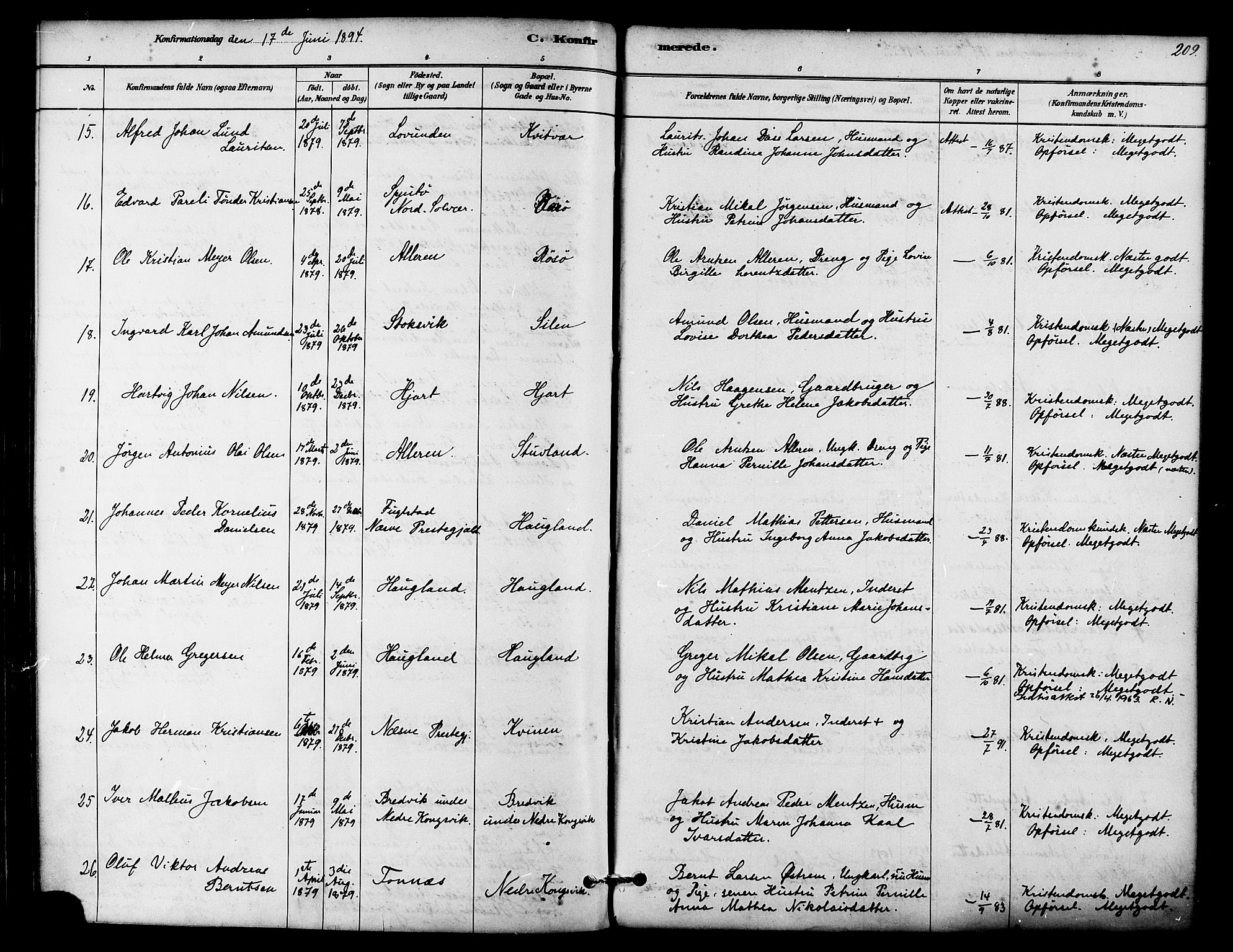 Ministerialprotokoller, klokkerbøker og fødselsregistre - Nordland, AV/SAT-A-1459/839/L0568: Parish register (official) no. 839A05, 1880-1902, p. 209