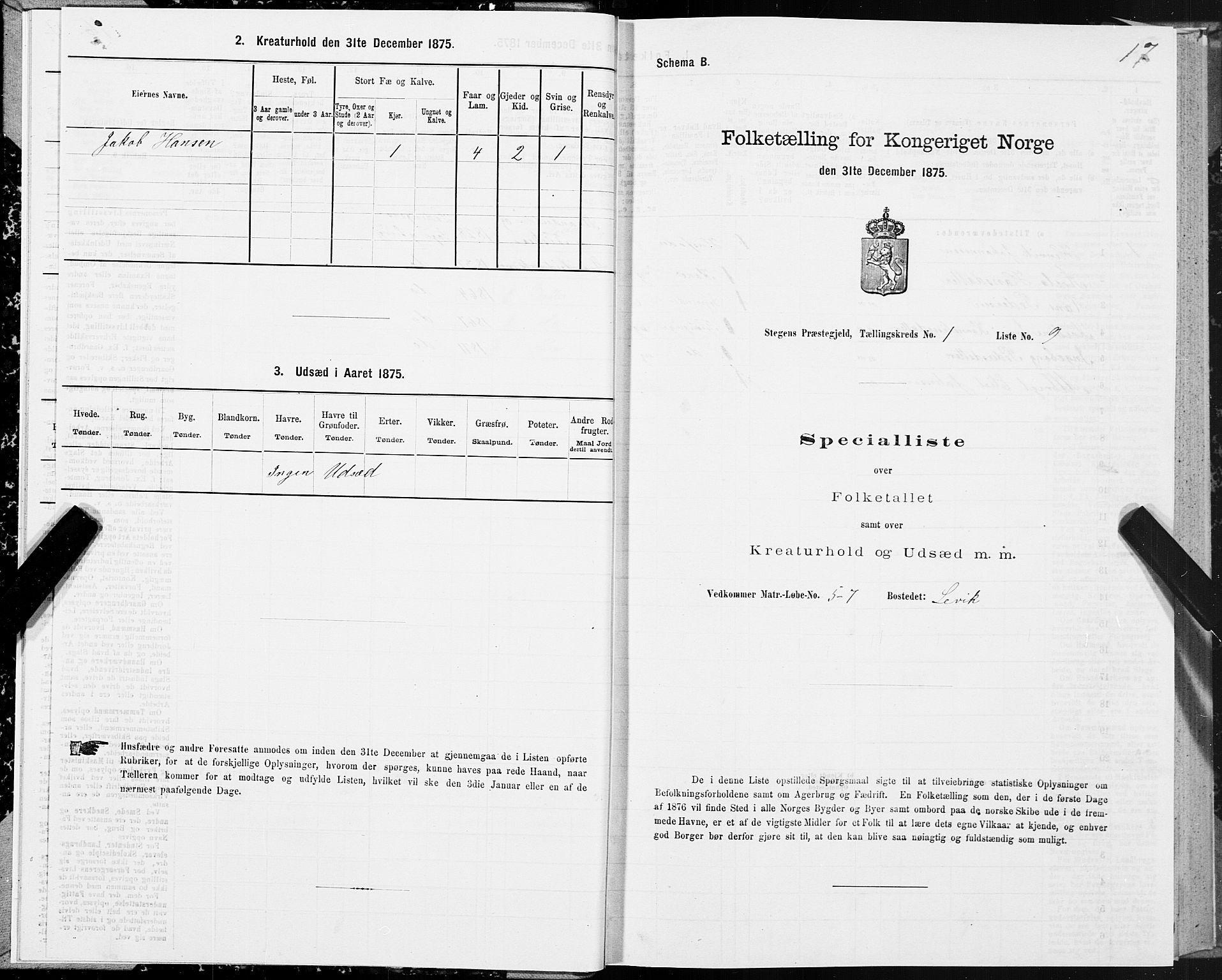 SAT, 1875 census for 1848P Steigen, 1875, p. 1017