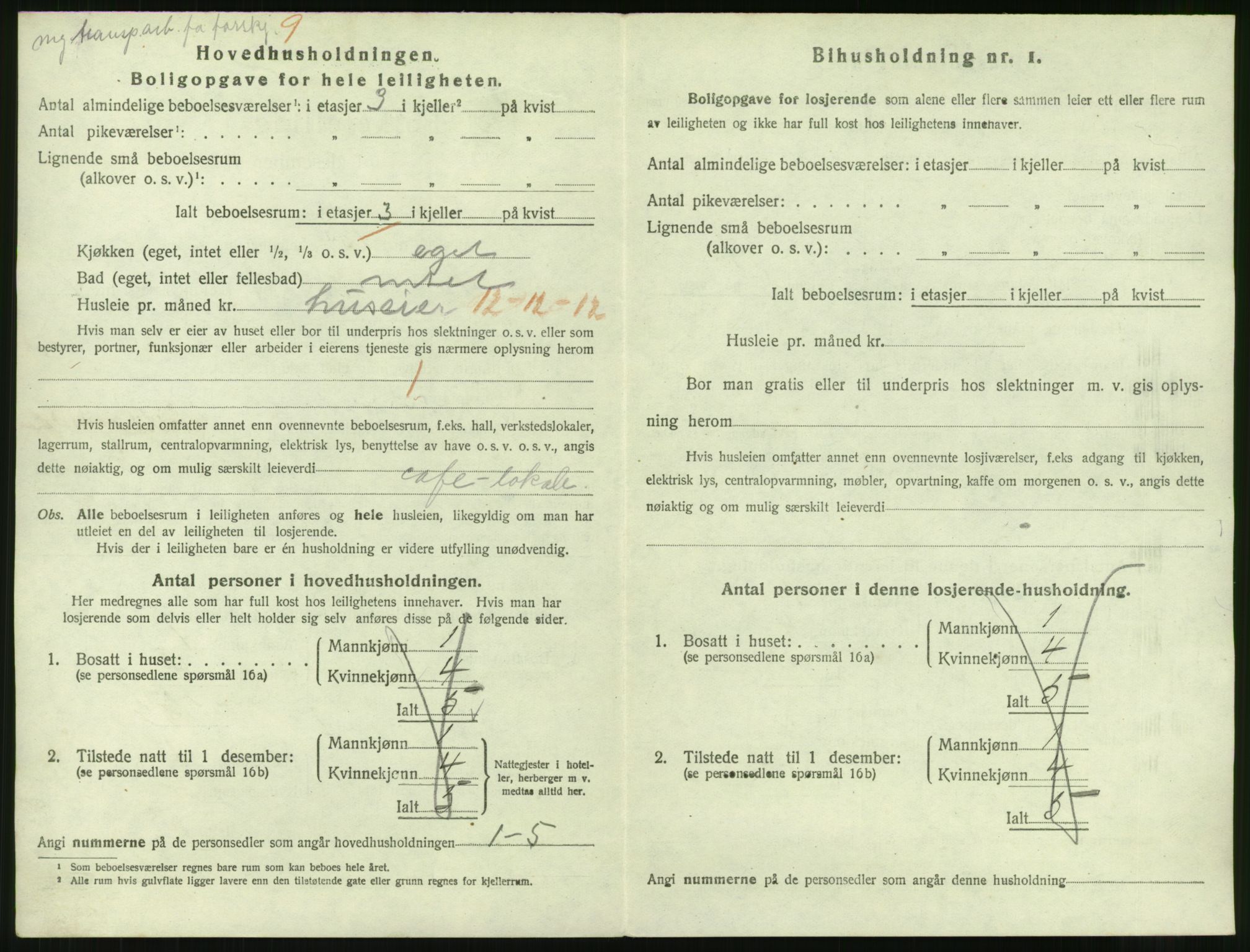 SAT, 1920 census for Narvik, 1920, p. 3985