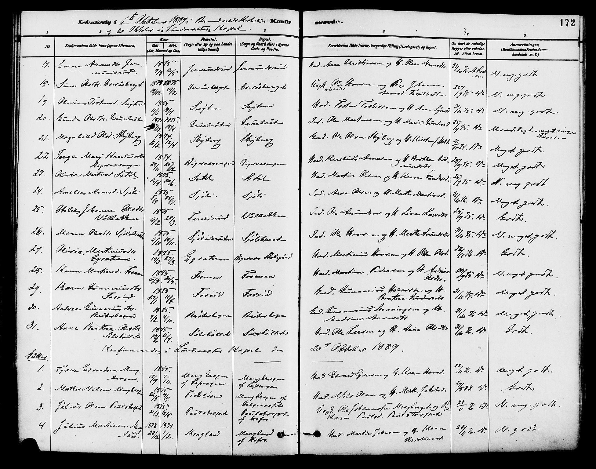 Brandval prestekontor, AV/SAH-PREST-034/H/Ha/Haa/L0002: Parish register (official) no. 2, 1880-1894, p. 172