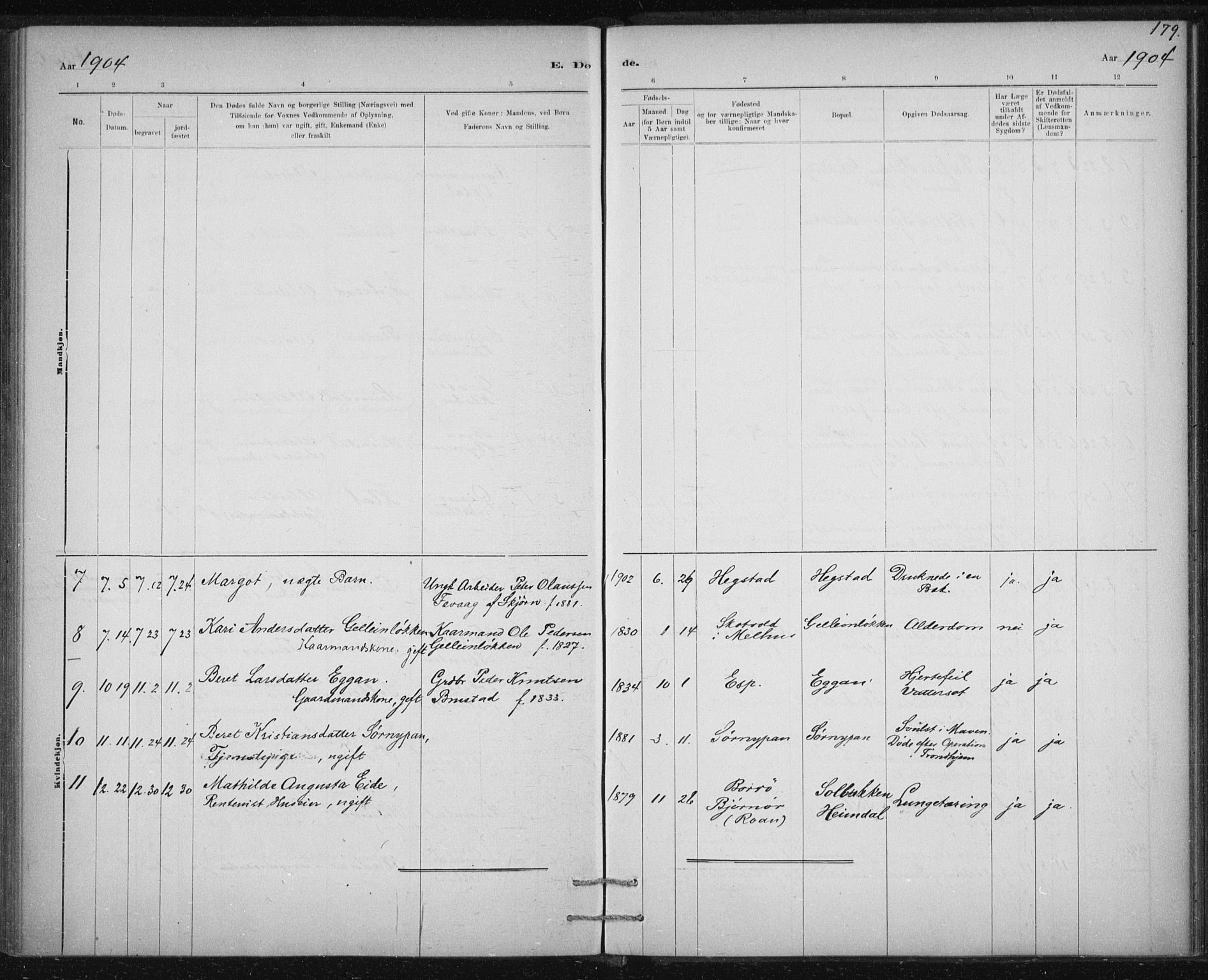 Ministerialprotokoller, klokkerbøker og fødselsregistre - Sør-Trøndelag, SAT/A-1456/613/L0392: Parish register (official) no. 613A01, 1887-1906, p. 179