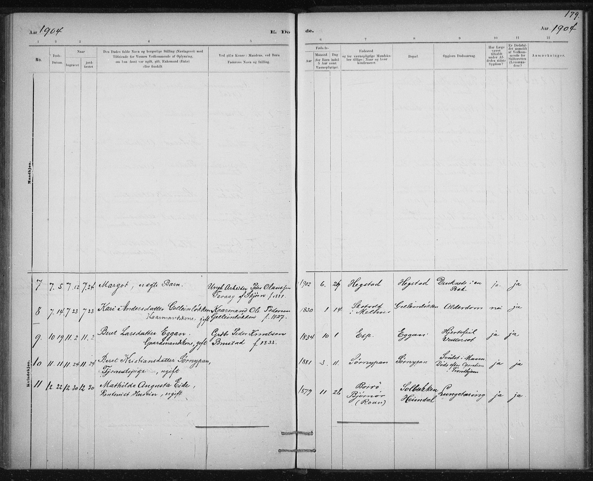 Ministerialprotokoller, klokkerbøker og fødselsregistre - Sør-Trøndelag, AV/SAT-A-1456/613/L0392: Parish register (official) no. 613A01, 1887-1906, p. 179