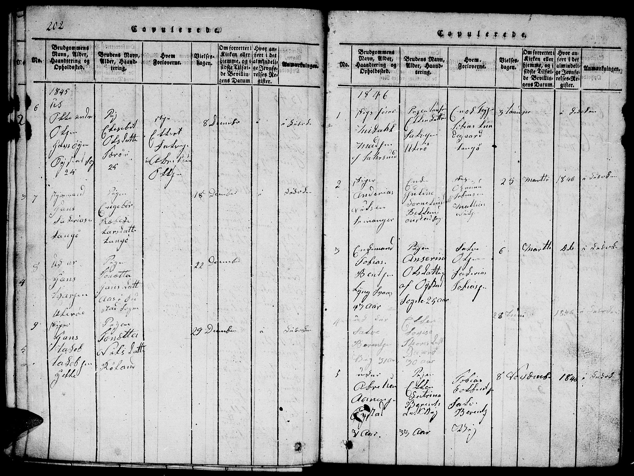 Herad sokneprestkontor, AV/SAK-1111-0018/F/Fb/Fbb/L0001: Parish register (copy) no. B 1, 1815-1852, p. 202