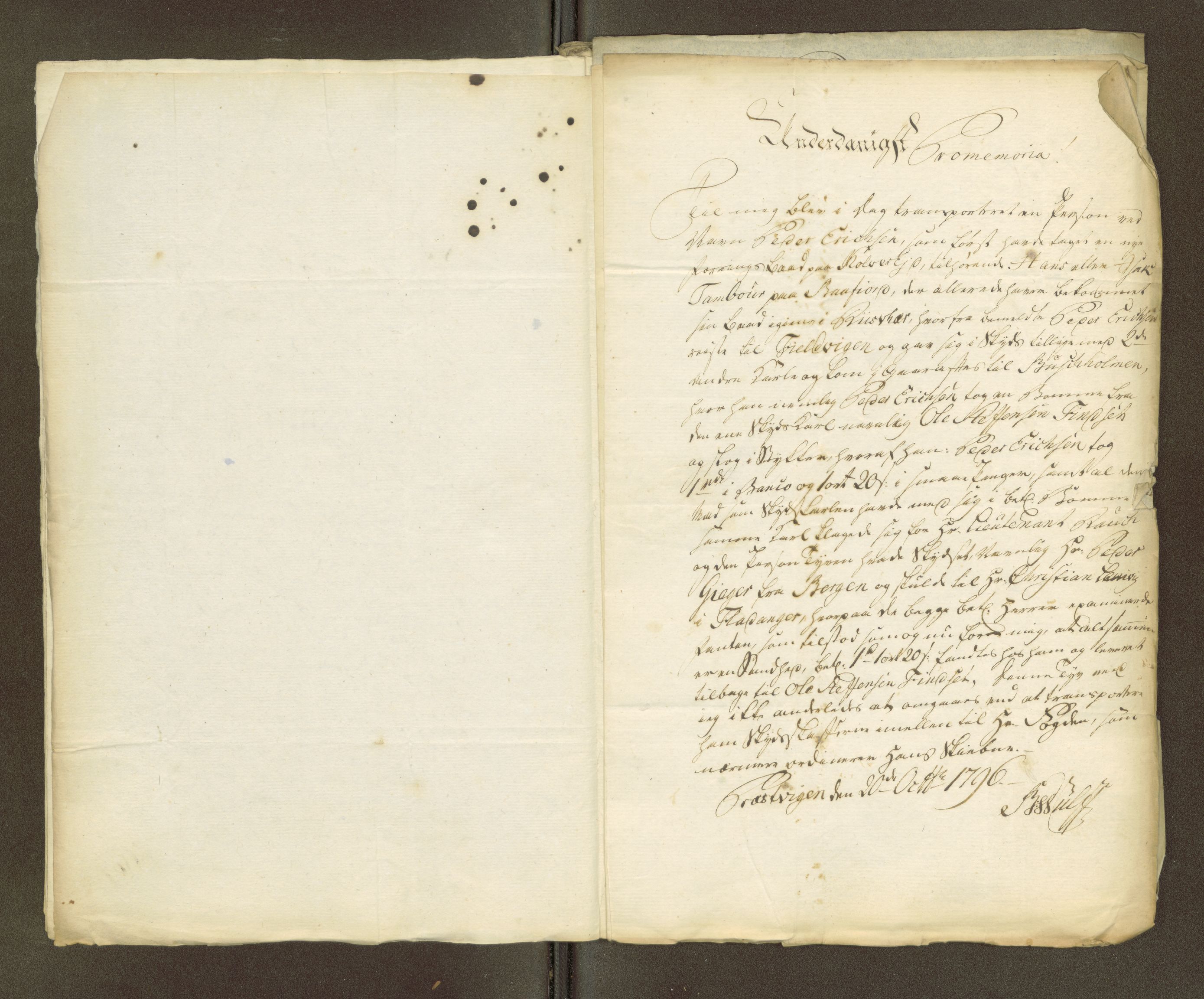 Namdal sorenskriveri, AV/SAT-A-4133/1/1/1O/1Oa/L0007: Sivile og offentlige saker, 1798, p. 103