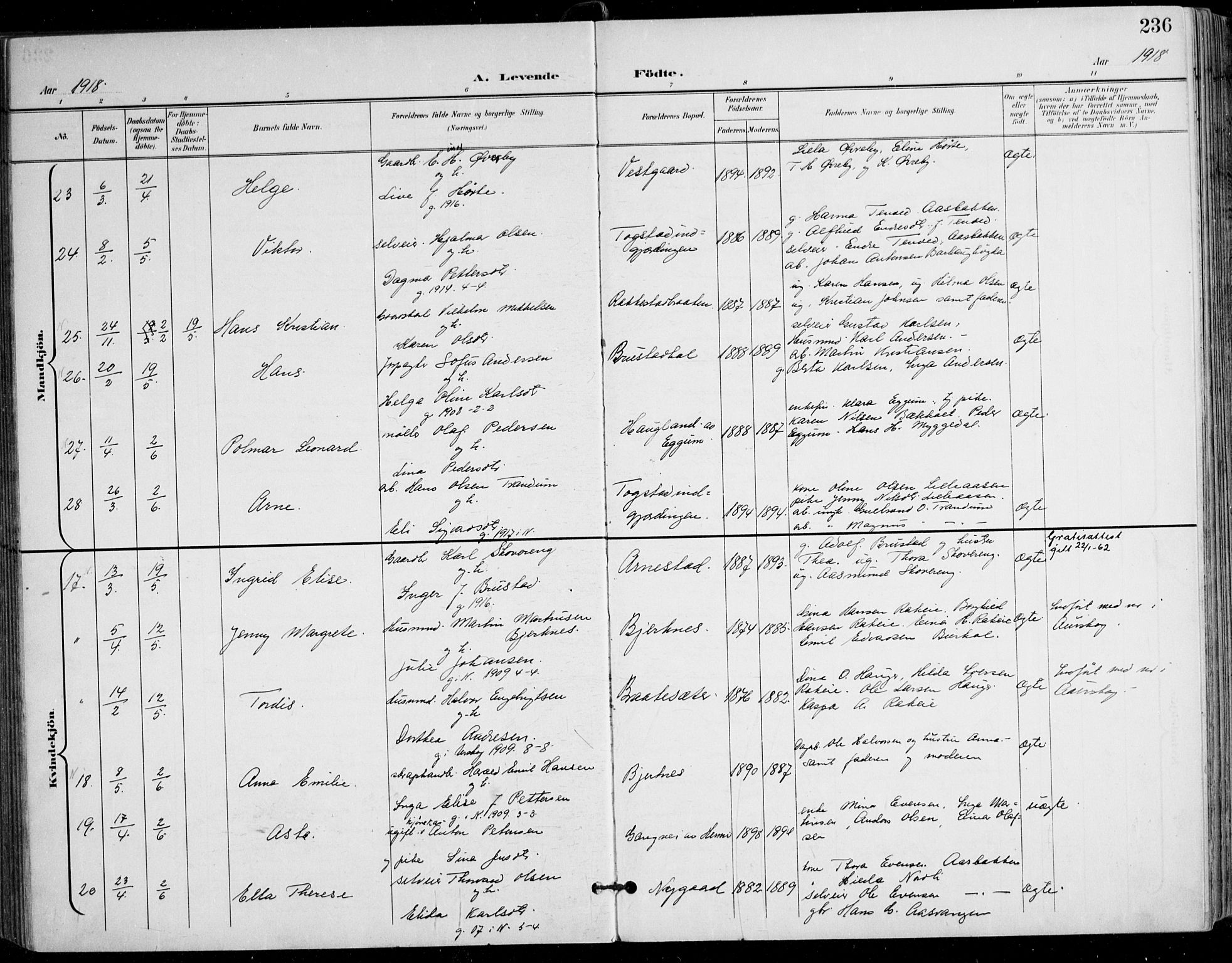 Nes prestekontor Kirkebøker, AV/SAO-A-10410/F/Fa/L0011: Parish register (official) no. I 11, 1899-1918, p. 236