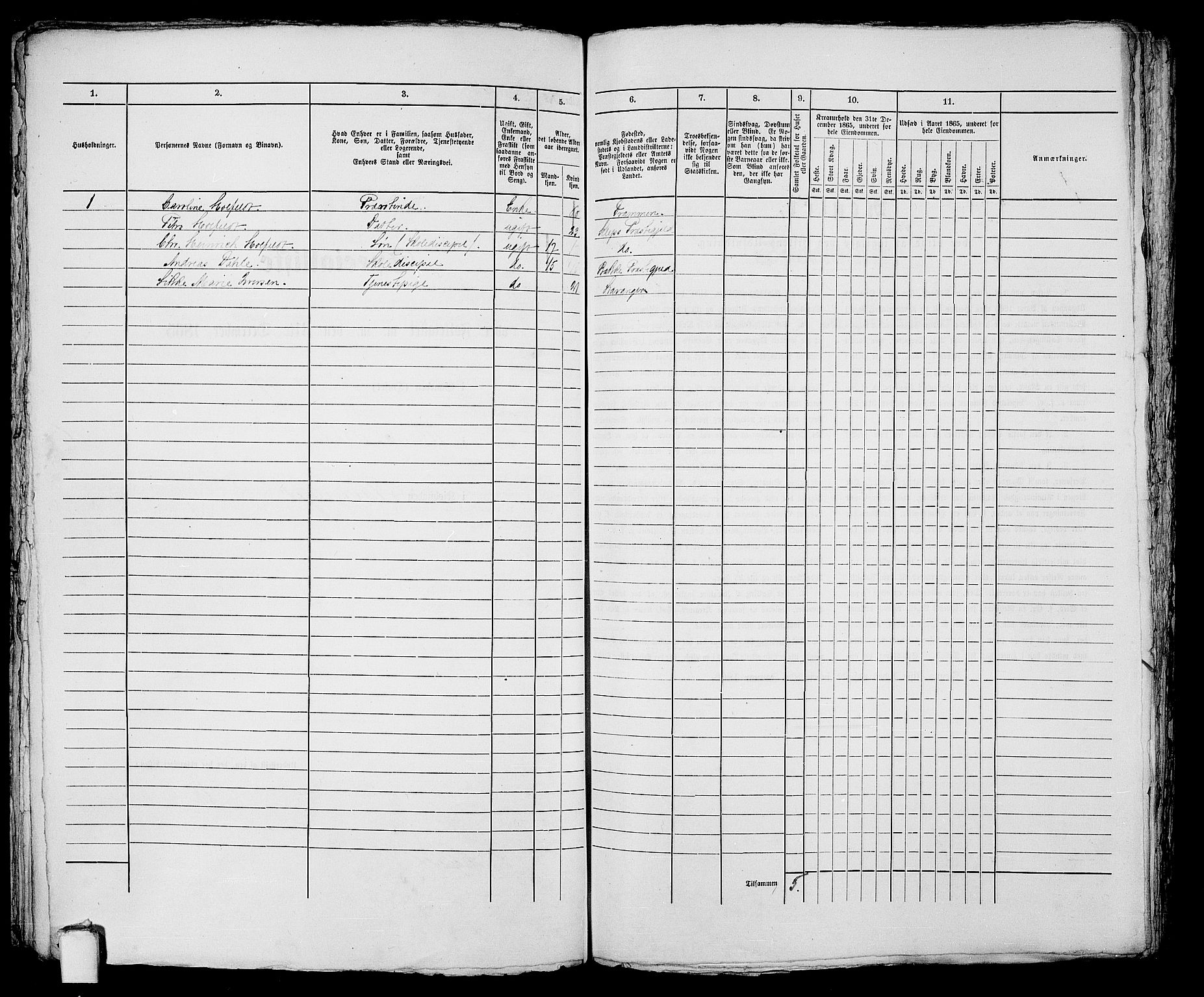 RA, 1865 census for Stavanger, 1865, p. 224