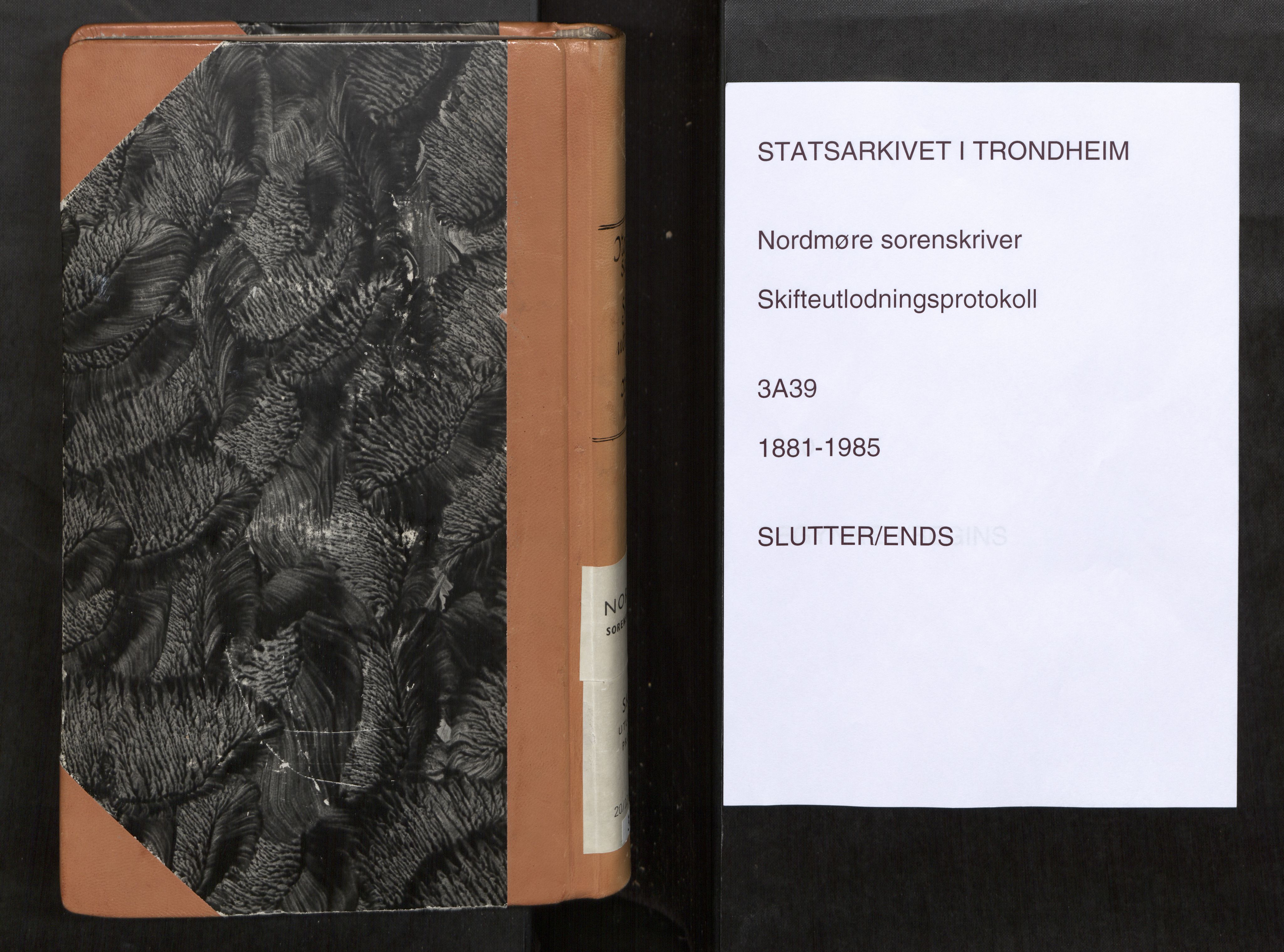 Nordmøre sorenskriveri, AV/SAT-A-4132/1/3/3A/L0039: Utlodningsprotokoll nr. 08, 1881-1885