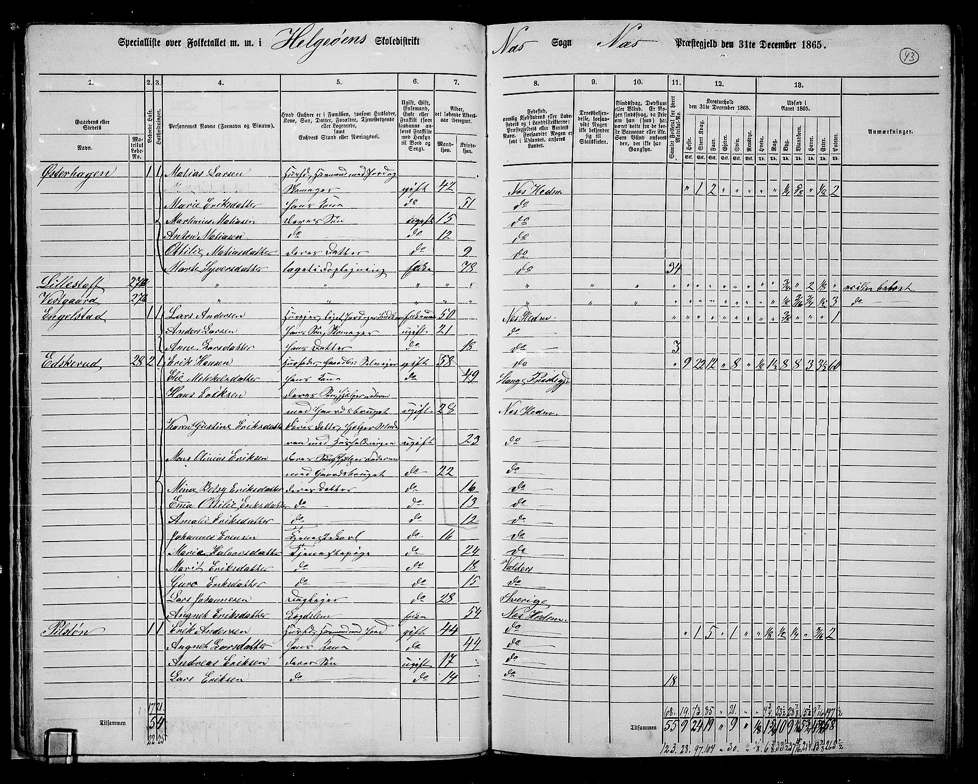 RA, 1865 census for Nes, 1865, p. 36