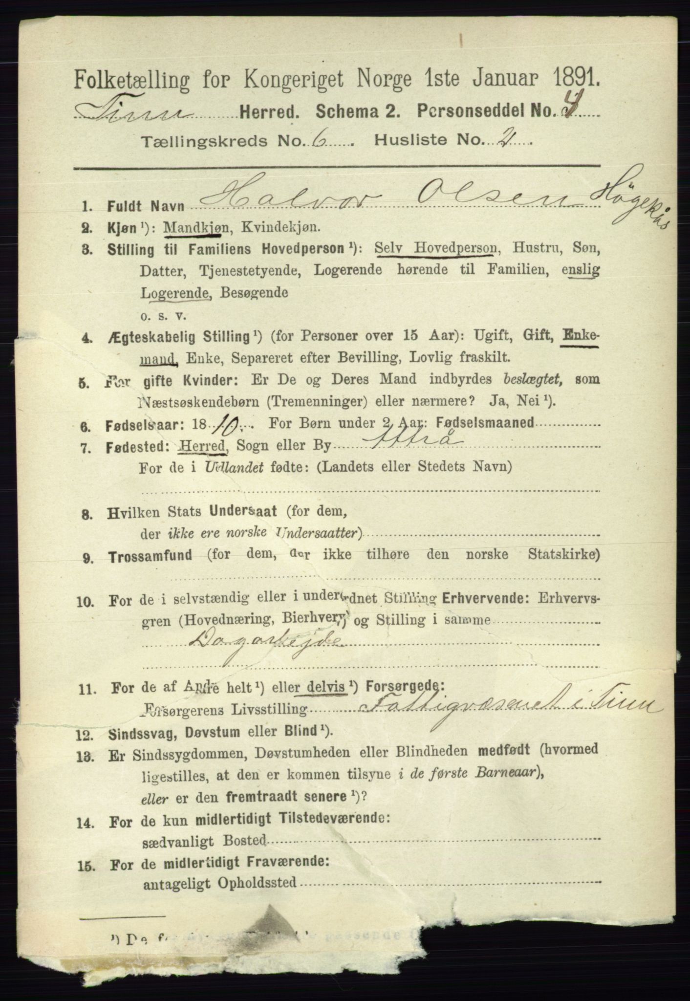 RA, 1891 census for 0826 Tinn, 1891, p. 1198