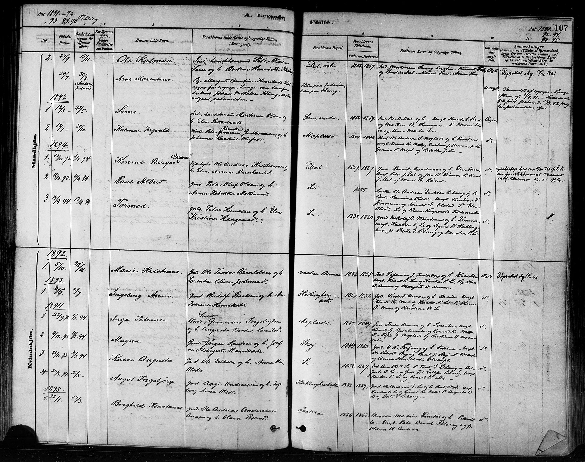 Ministerialprotokoller, klokkerbøker og fødselsregistre - Nord-Trøndelag, AV/SAT-A-1458/746/L0449: Parish register (official) no. 746A07 /3, 1878-1899, p. 107