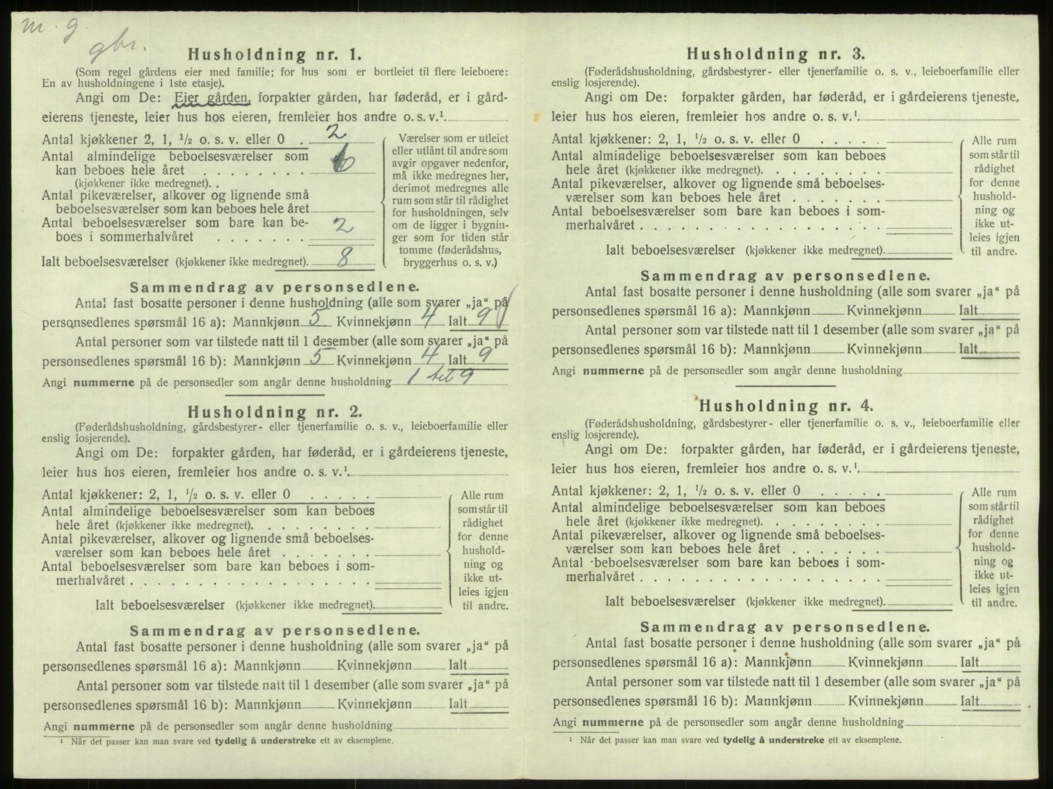 SAB, 1920 census for Hafslo, 1920, p. 1007