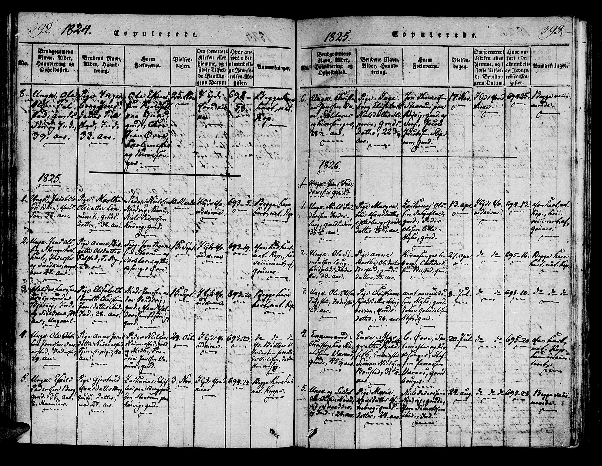 Ministerialprotokoller, klokkerbøker og fødselsregistre - Nord-Trøndelag, AV/SAT-A-1458/722/L0217: Parish register (official) no. 722A04, 1817-1842, p. 392-393