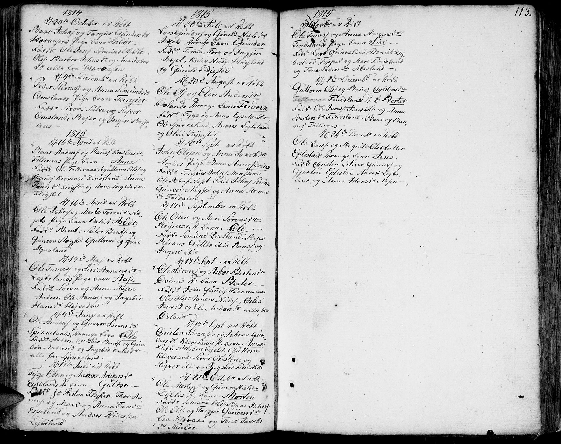 Bjelland sokneprestkontor, SAK/1111-0005/F/Fa/Faa/L0001: Parish register (official) no. A 1 /2, 1793-1815, p. 113