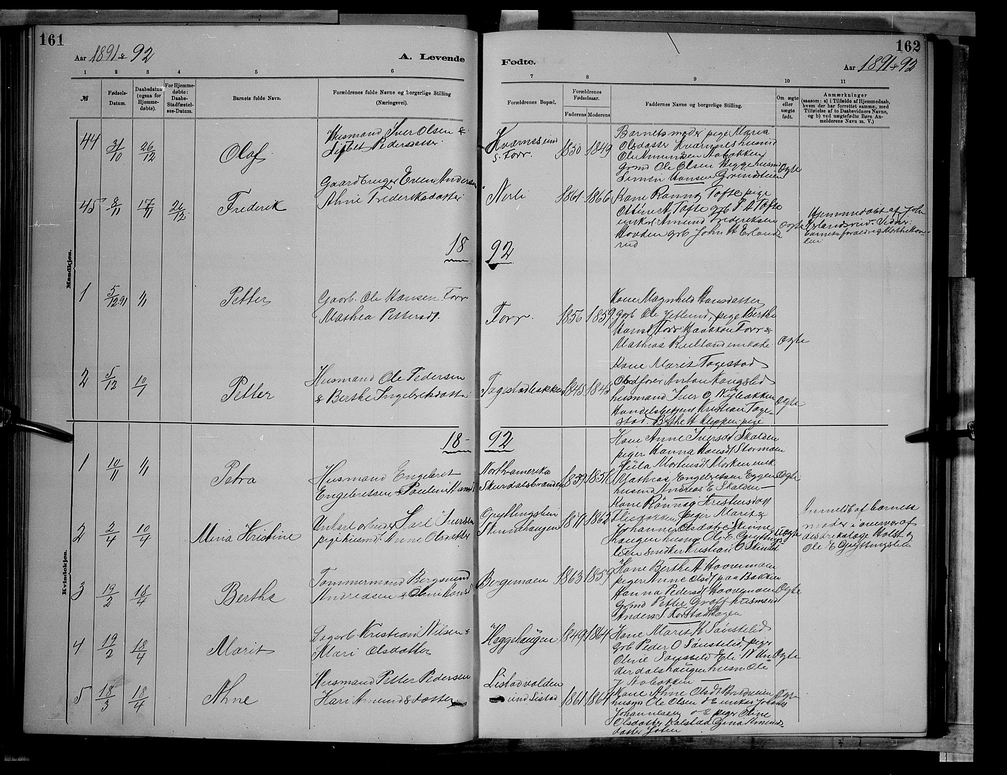Sør-Fron prestekontor, SAH/PREST-010/H/Ha/Hab/L0003: Parish register (copy) no. 3, 1884-1896, p. 161-162