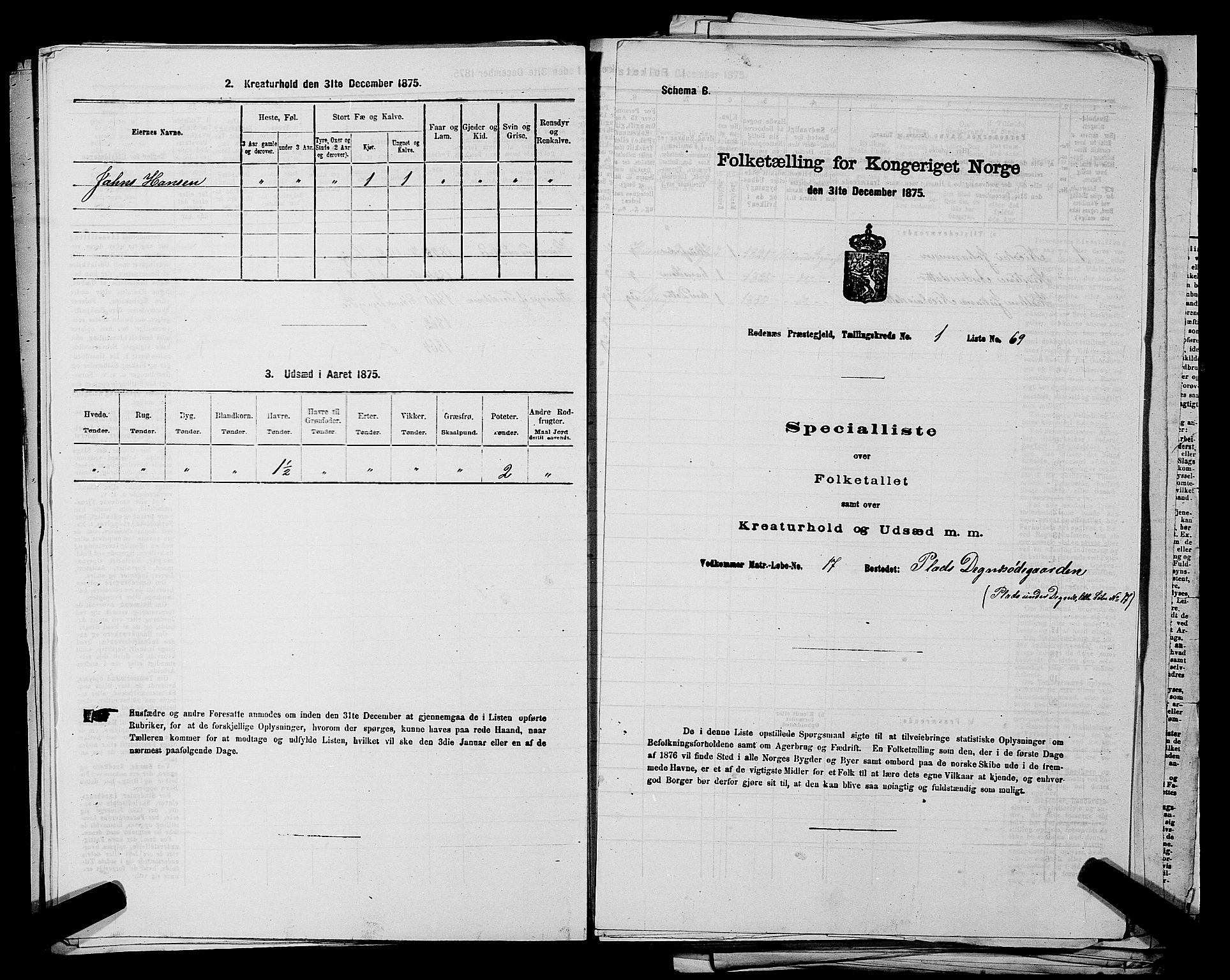 RA, 1875 census for 0120P Rødenes, 1875, p. 166
