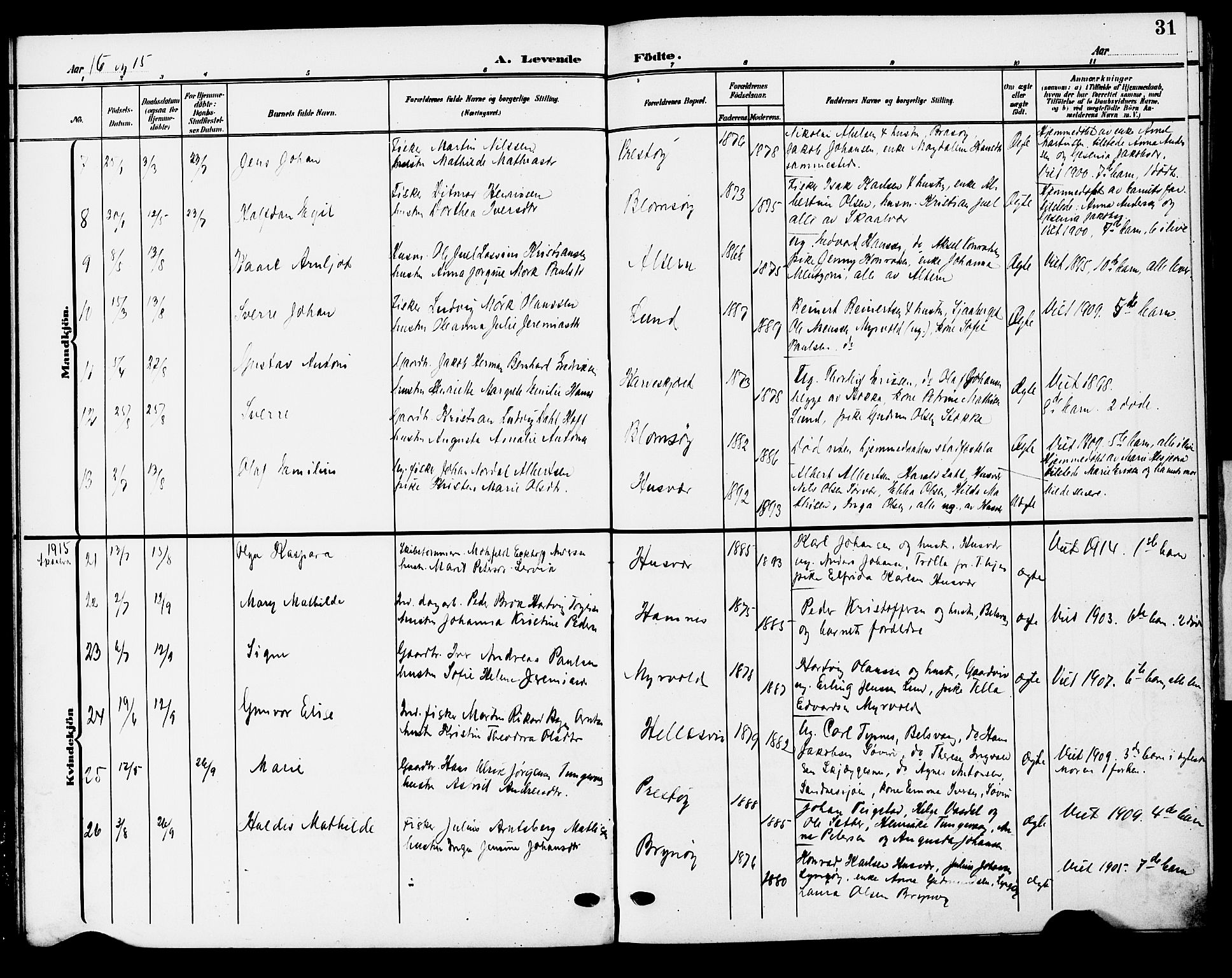 Ministerialprotokoller, klokkerbøker og fødselsregistre - Nordland, AV/SAT-A-1459/830/L0464: Parish register (copy) no. 830C06, 1906-1925, p. 31