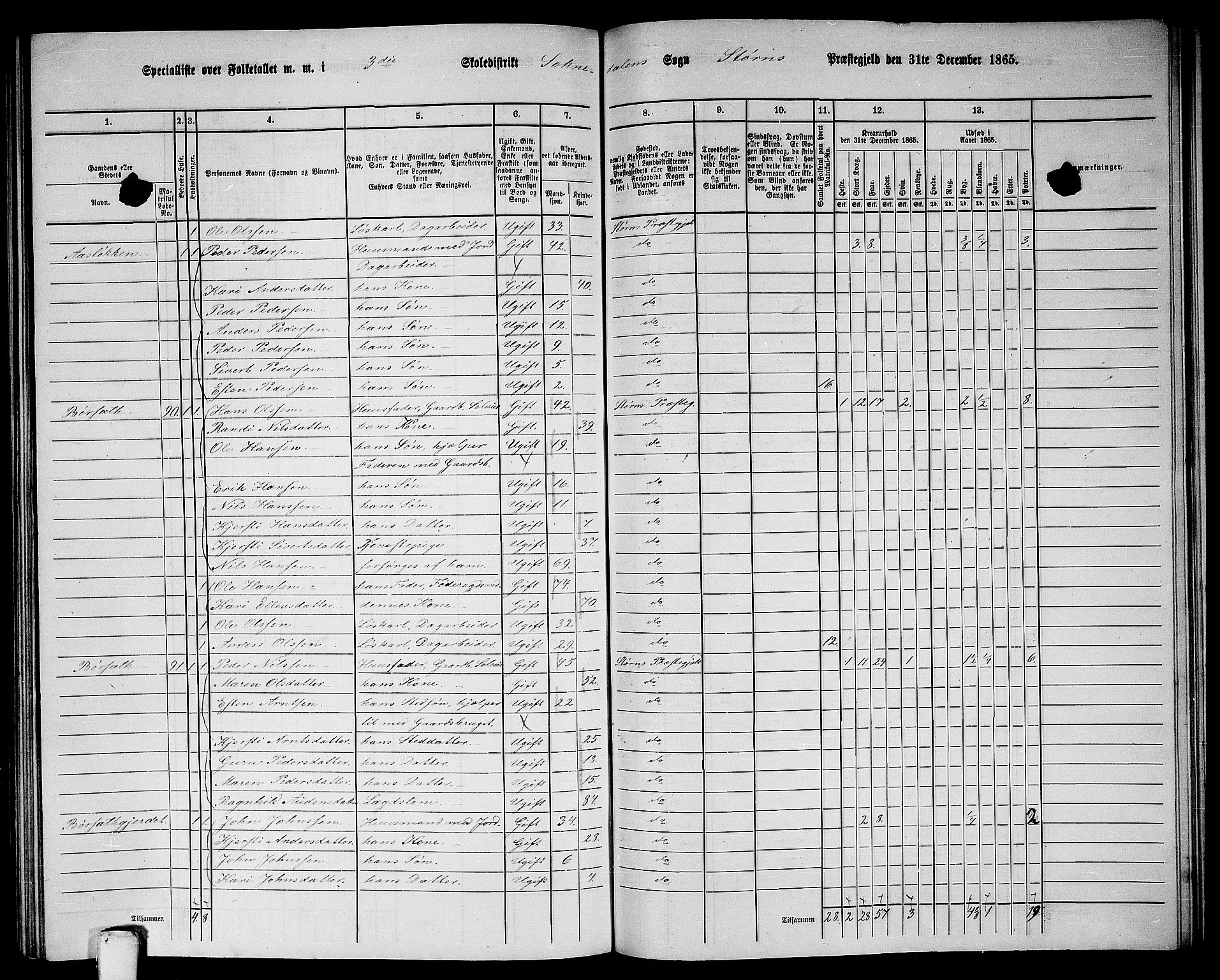 RA, 1865 census for Støren, 1865, p. 263