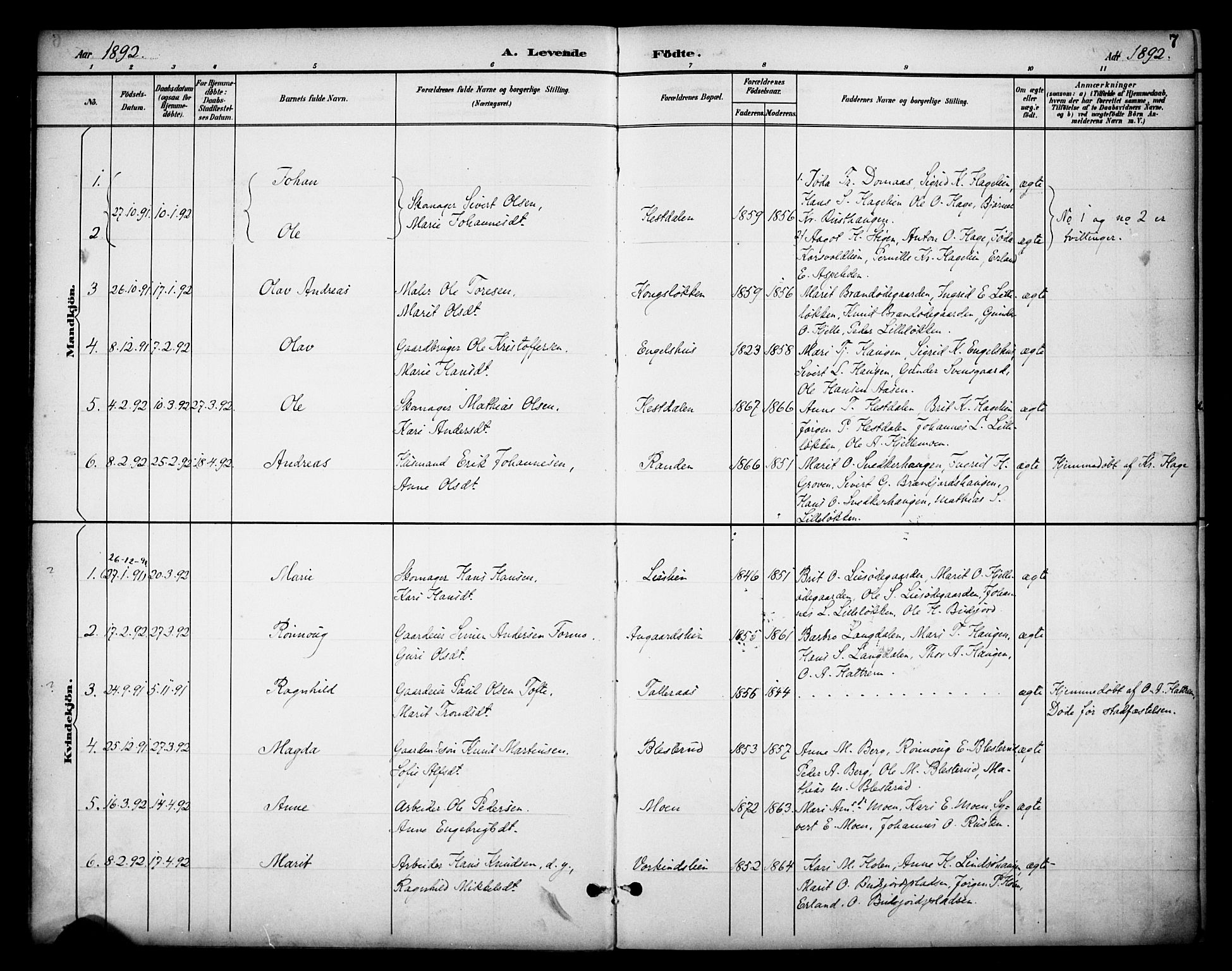 Dovre prestekontor, SAH/PREST-066/H/Ha/Haa/L0003: Parish register (official) no. 3, 1891-1901, p. 7