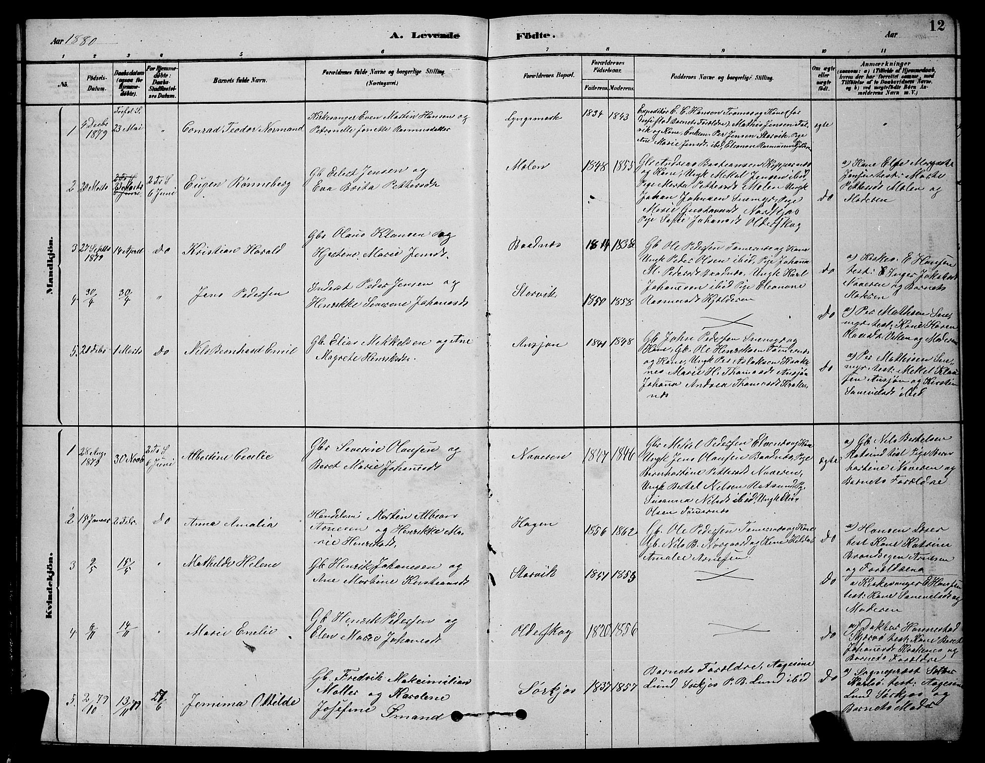 Skjervøy sokneprestkontor, SATØ/S-1300/H/Ha/Hab/L0020klokker: Parish register (copy) no. 20, 1878-1892, p. 12