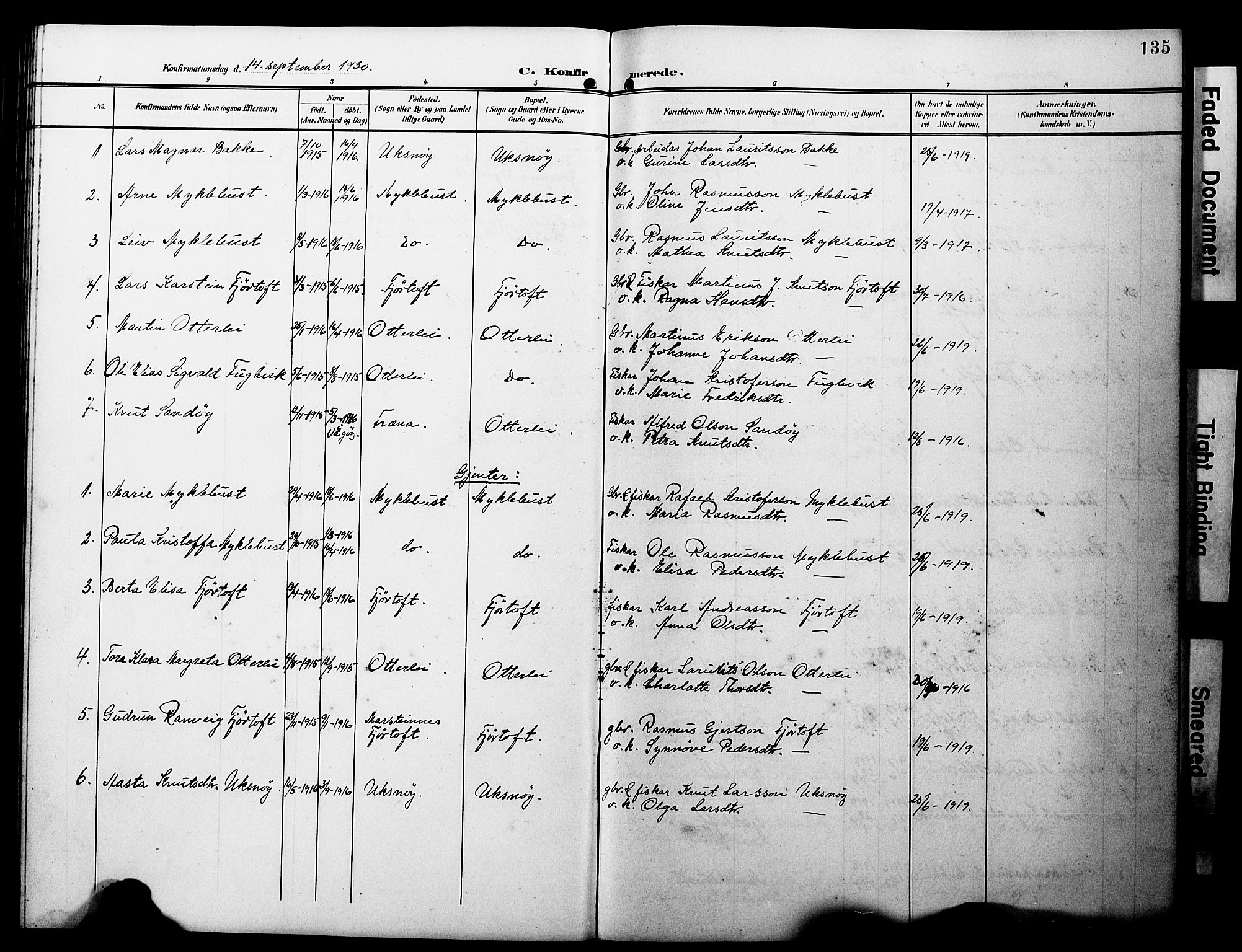 Ministerialprotokoller, klokkerbøker og fødselsregistre - Møre og Romsdal, AV/SAT-A-1454/538/L0524: Parish register (copy) no. 538C02, 1901-1931, p. 135