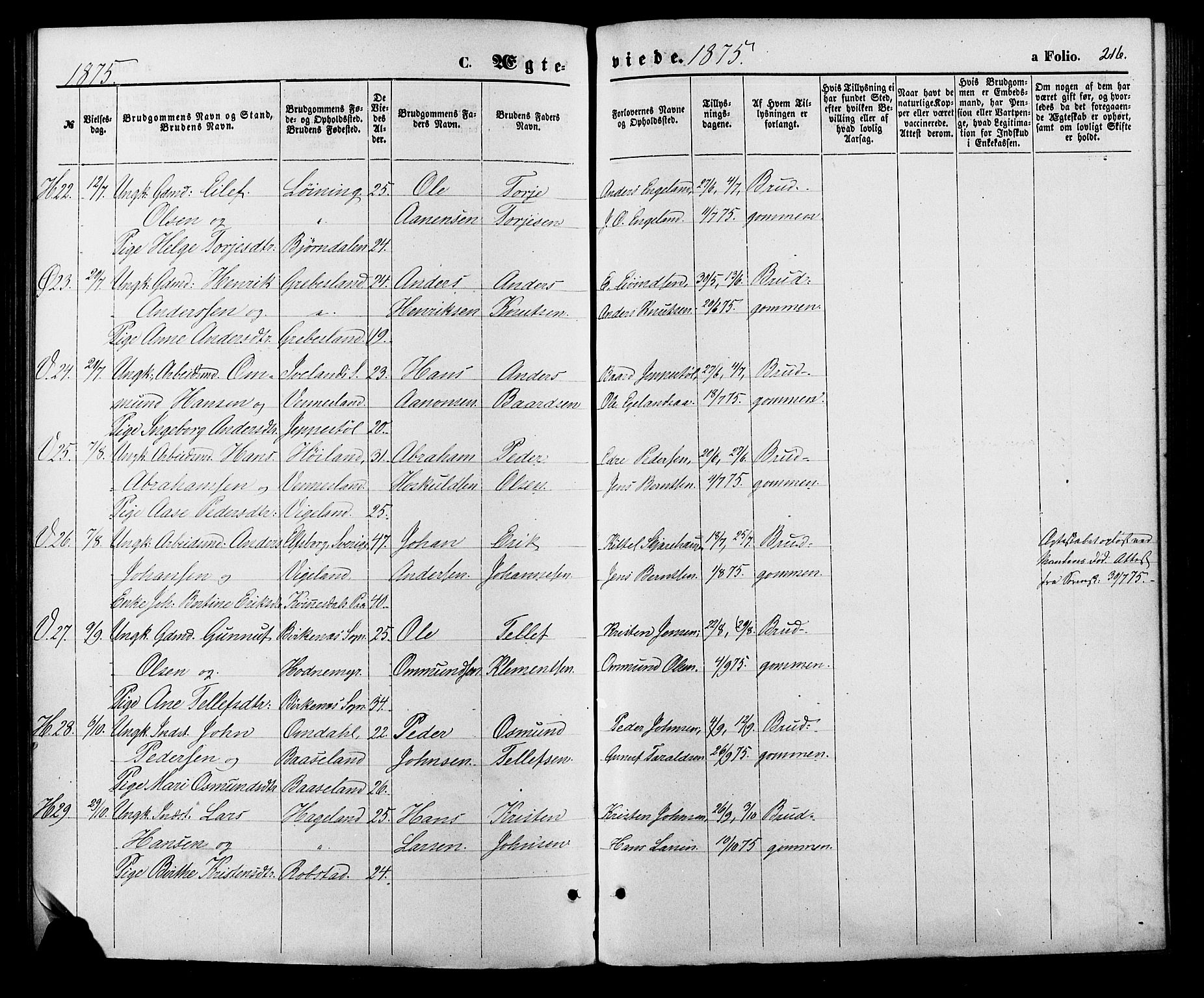 Vennesla sokneprestkontor, AV/SAK-1111-0045/Fa/Fac/L0008: Parish register (official) no. A 8, 1874-1883, p. 216